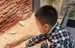 我的手机