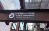 云南省丽江市玉龙纳西族自治县玉龙雪山景区2-2