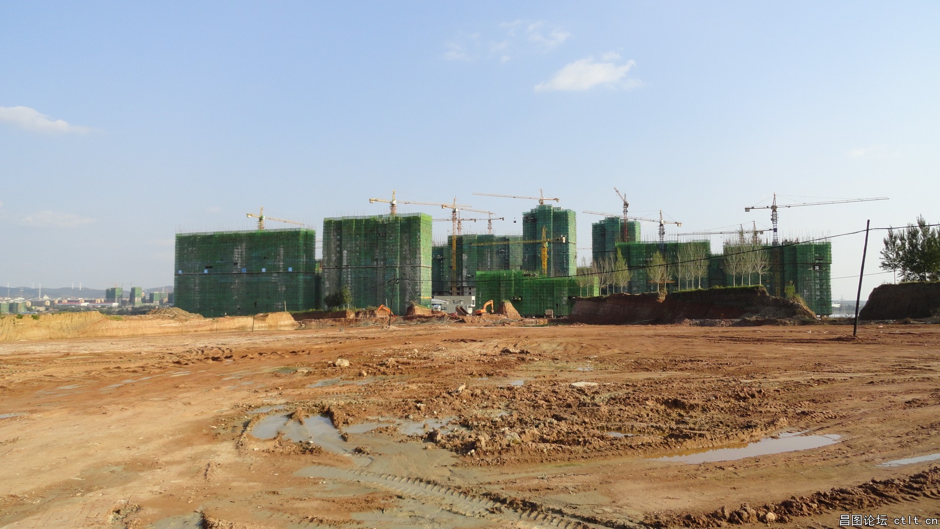 新区楼房建设情况.jpg