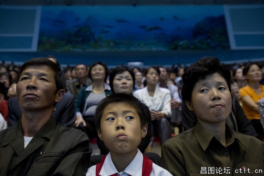 当地时间2012年9月8日，朝鲜平壤，人们在新建的游乐场里看海豚表演.jpg