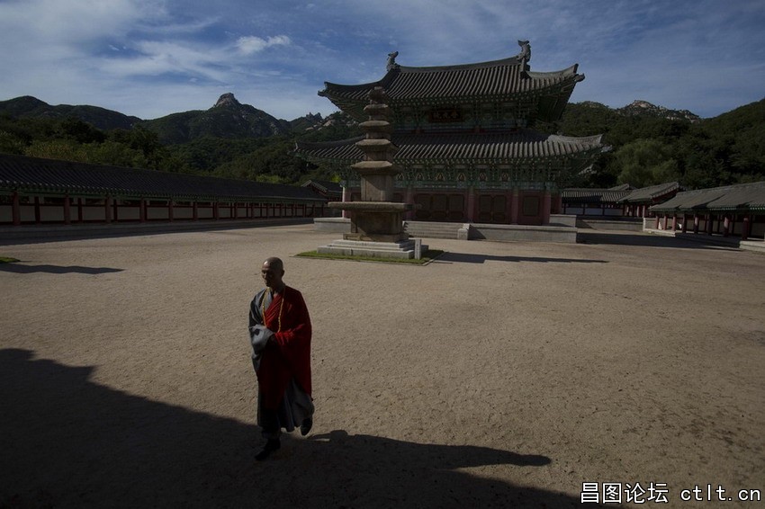 当地时间2012年9月11日，朝鲜开城，一名僧人走在Ryongthong寺庙的庭院里.jpg