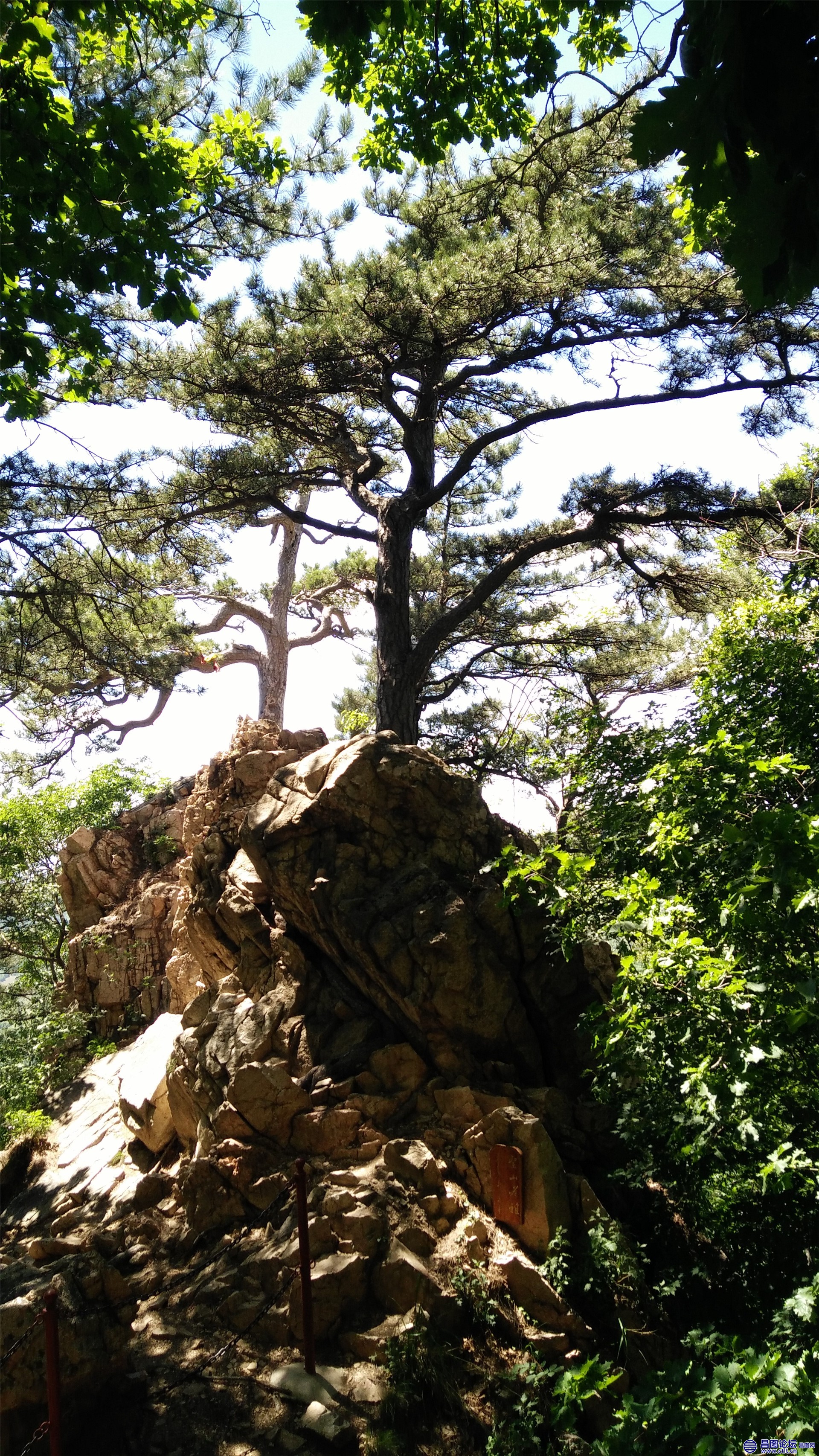 IMG20170610123429.jpg