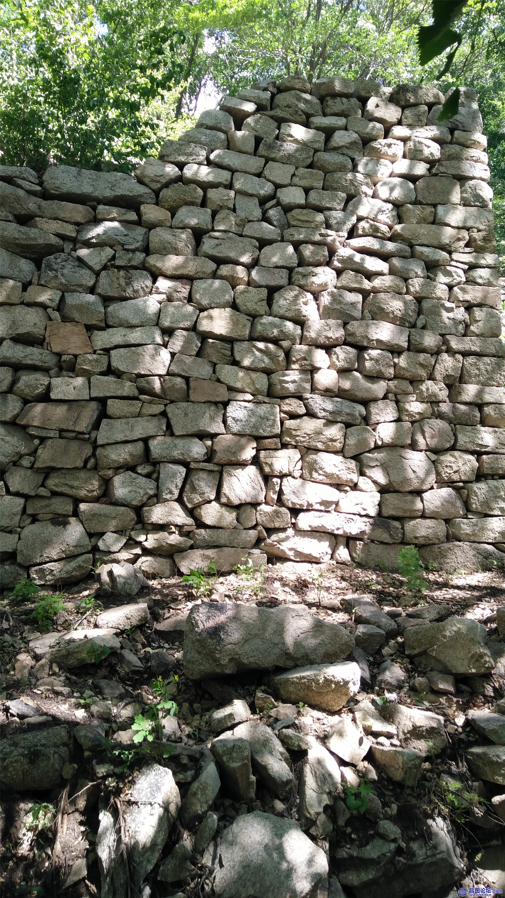 IMG20170610132957.jpg