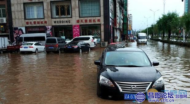 辽宁铁岭昌图县暴雨袭城 树倒水积阻通行-4.jpg