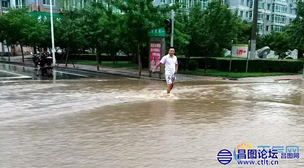 辽宁铁岭昌图县暴雨袭城 树倒水积阻通行-3.jpg
