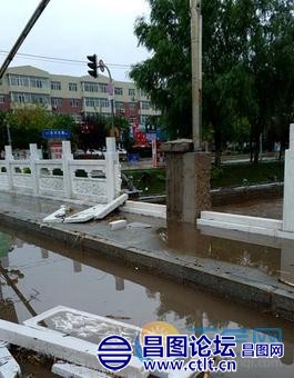 辽宁铁岭昌图县暴雨袭城 树倒水积阻通行-5.jpg