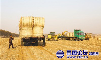 打包好的玉米秸秆正在装车运输.jpg