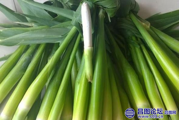 乌米.jpg