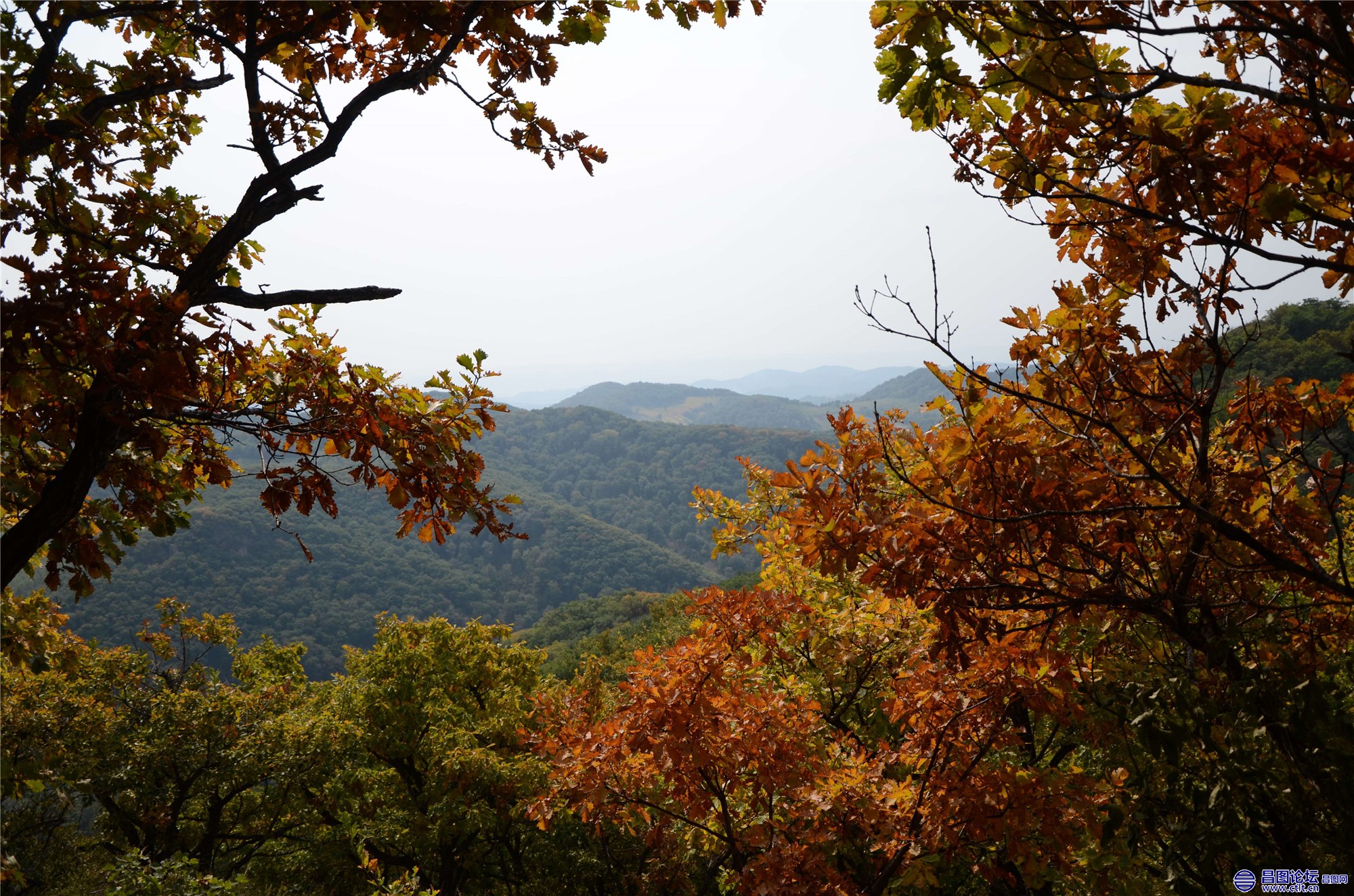 昌图天桥山-10.jpg