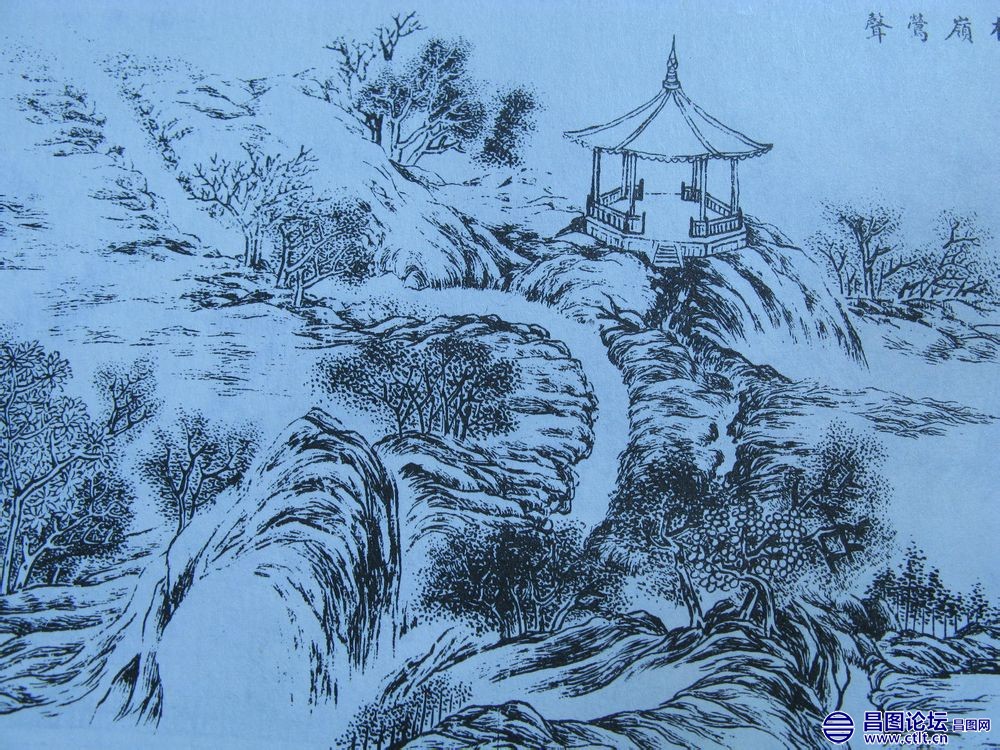 榆岭莺声.jpg