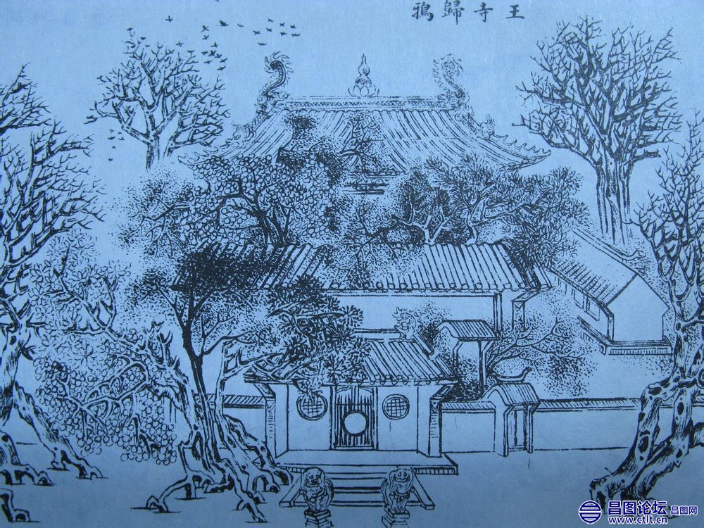 王寺归鸦.jpg