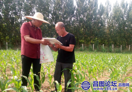 昌图县鴜鹭树镇利用土地确权成果壮大村集体经济.png