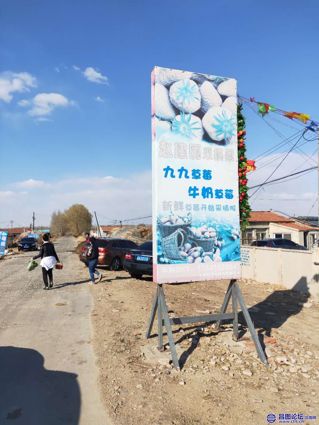 昌图县头道镇赵建国草莓采摘园外景-2.jpg