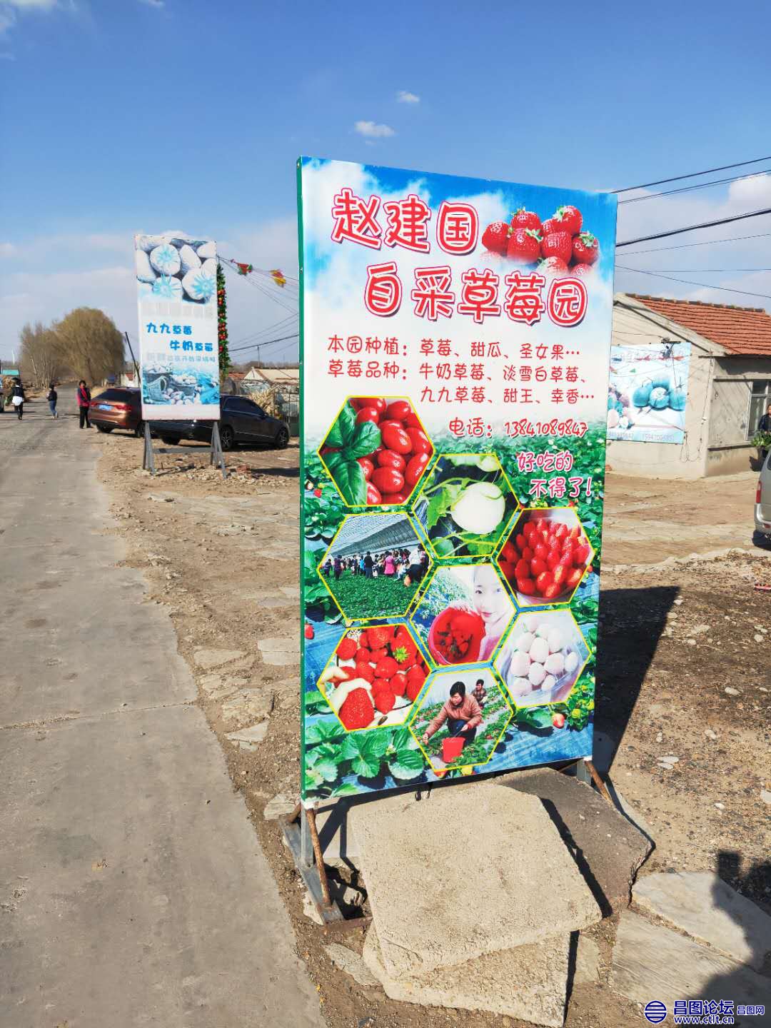 昌图县头道镇赵建国草莓采摘园外景-3.jpg