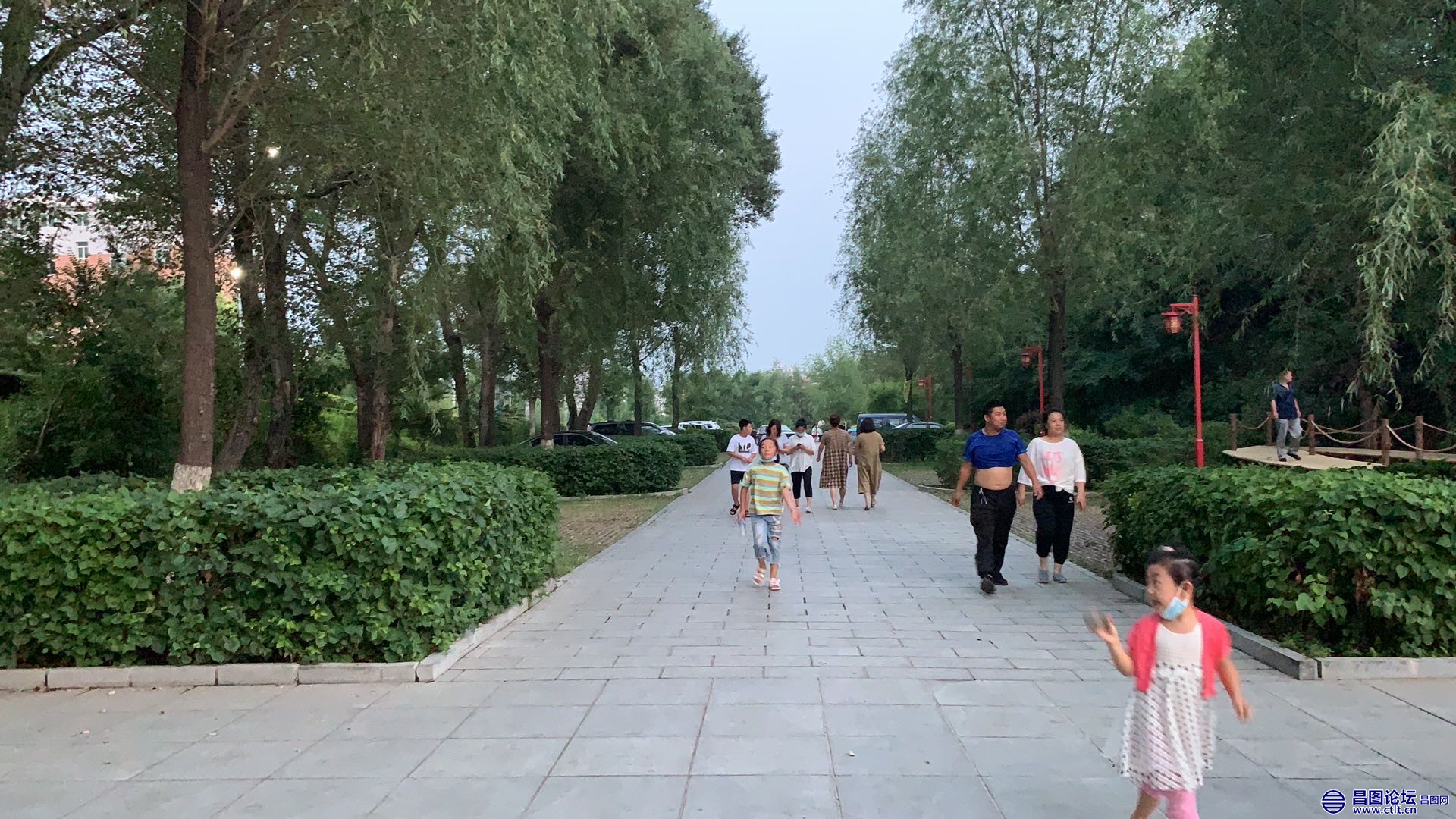昌图您好-93 北山公园的小荷塘-4.jpg