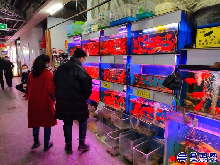 昌图您好-94 昌图的年味浓