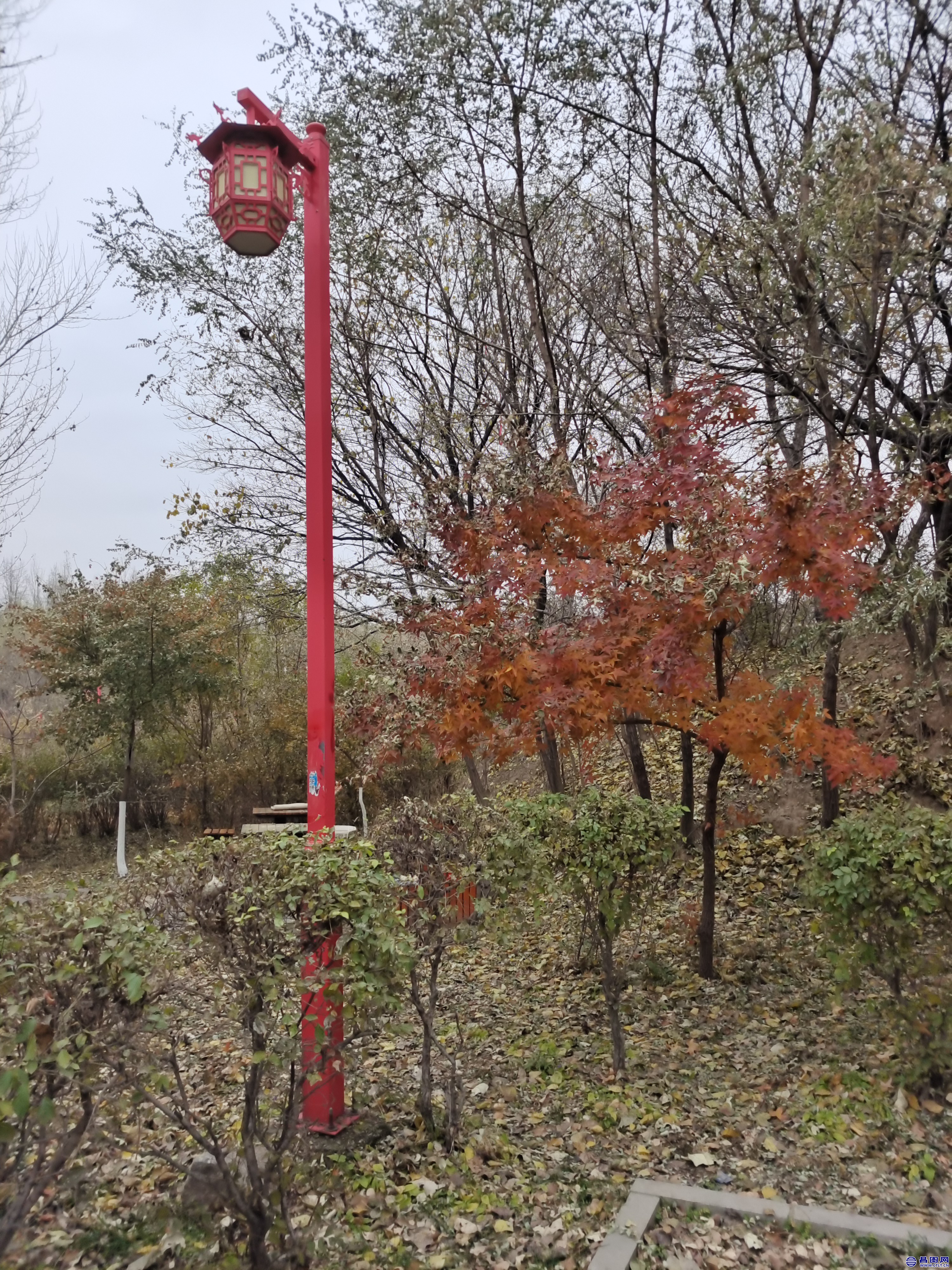 辽宁省昌图县北山公园的秋色