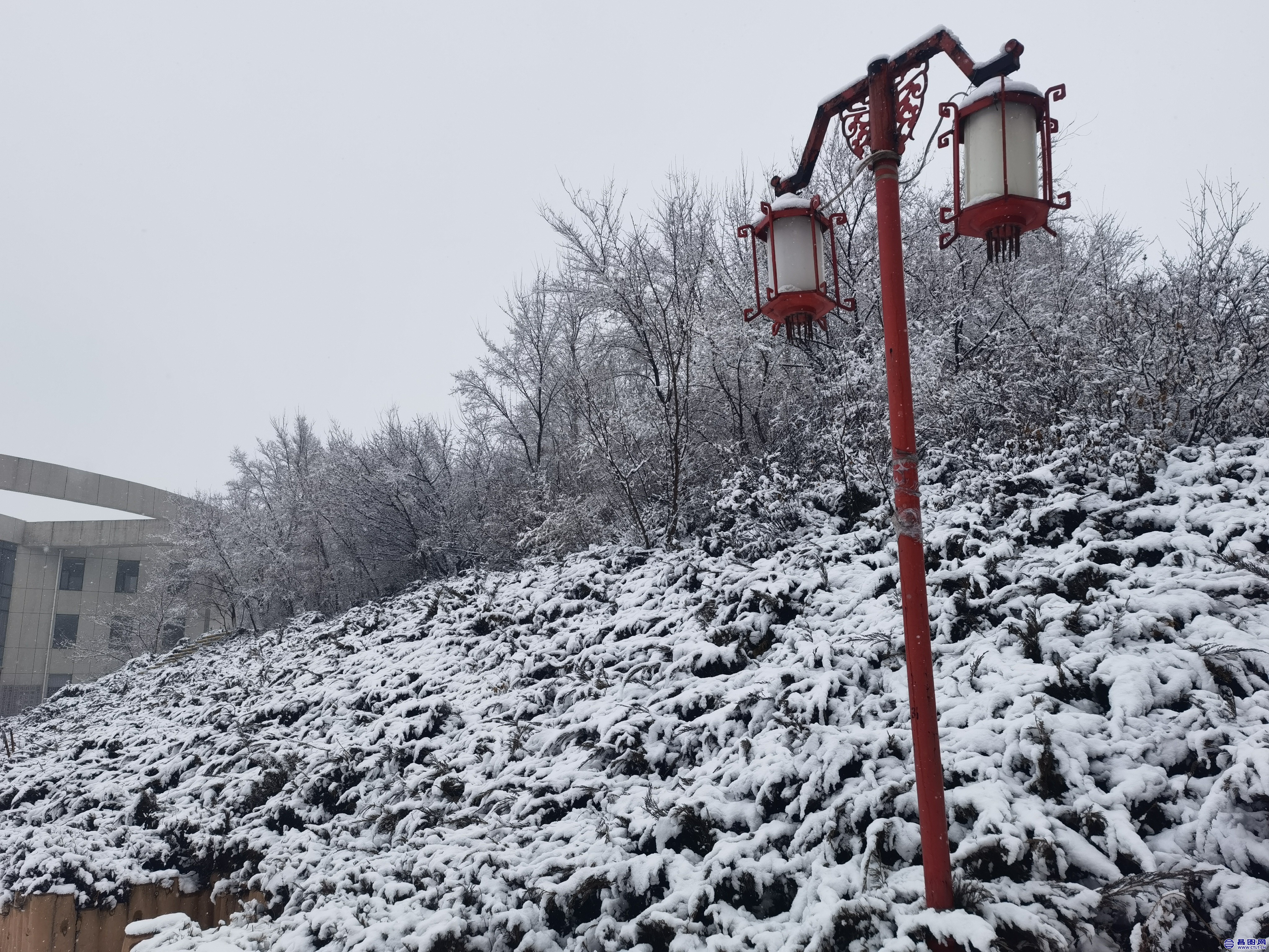 昌图您好-106 昌图2022.03.14的雪景