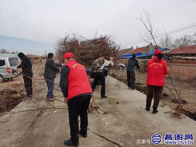辽宁昌图：志愿红、添新绿，齐心协力造林地——头道镇开展义务植树造林活动-1.jpeg
