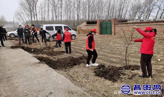 辽宁昌图：志愿红、添新绿，齐心协力造林地——头道镇开展义务植树造林活动-2.jpeg
