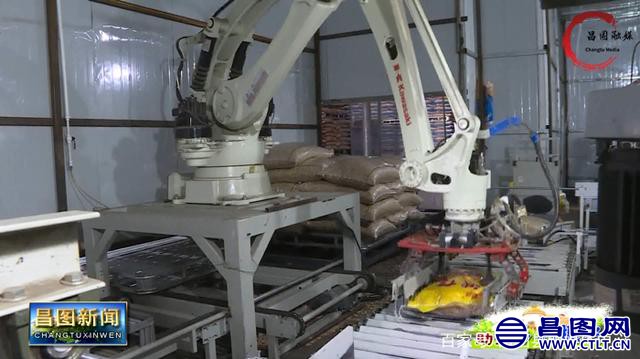 辽宁昌图：「乡村振兴」李子军：做产业发展的带头人 乡村振兴的“领头雁”-2.jpeg