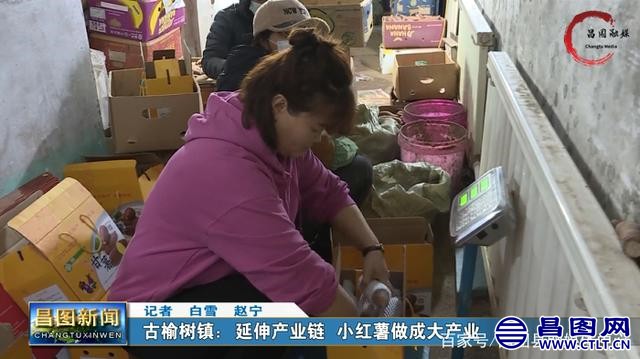 辽宁昌图：古榆树镇：延伸产业链 小红薯做成大产业-1.jpg