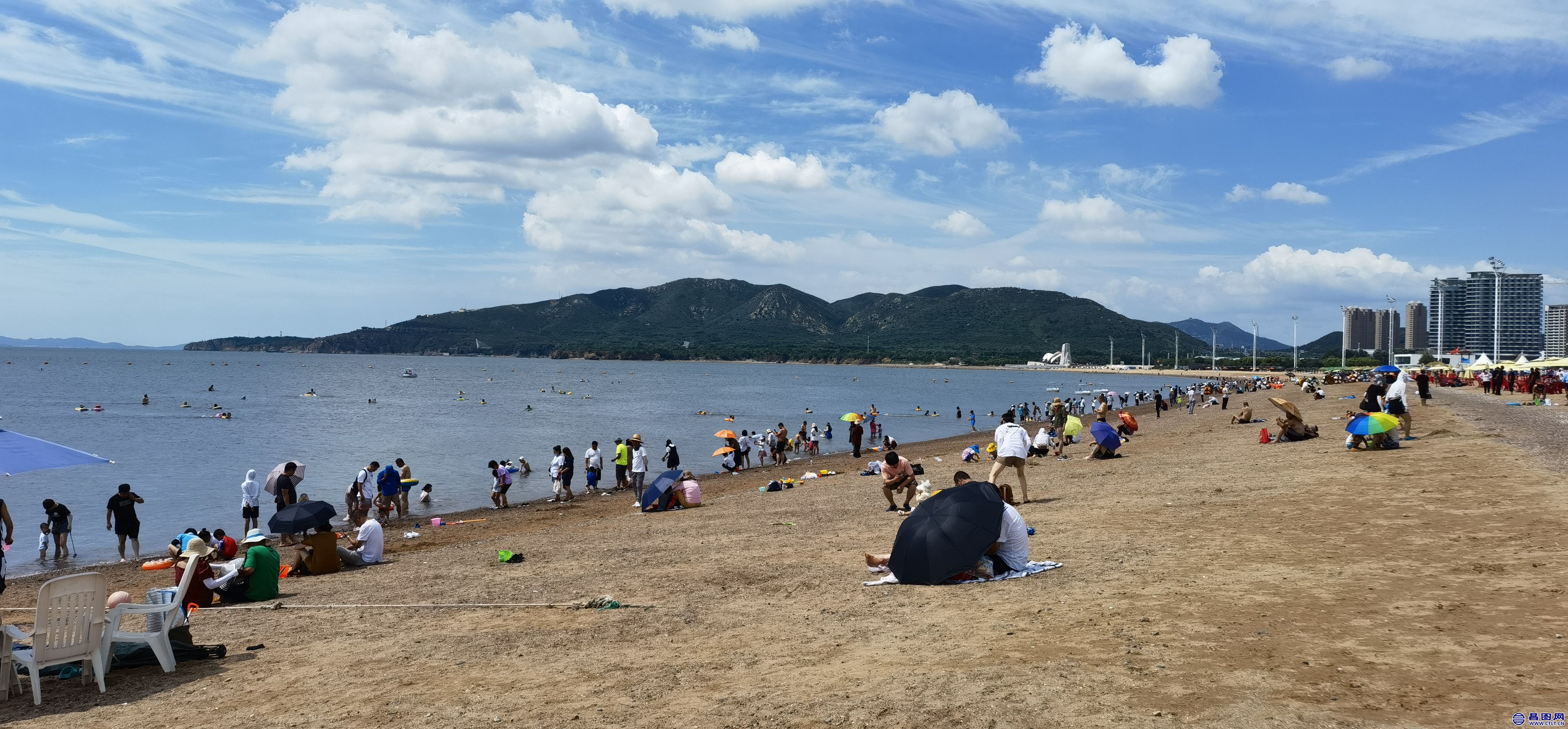 IMG_20220716_101600.jpg