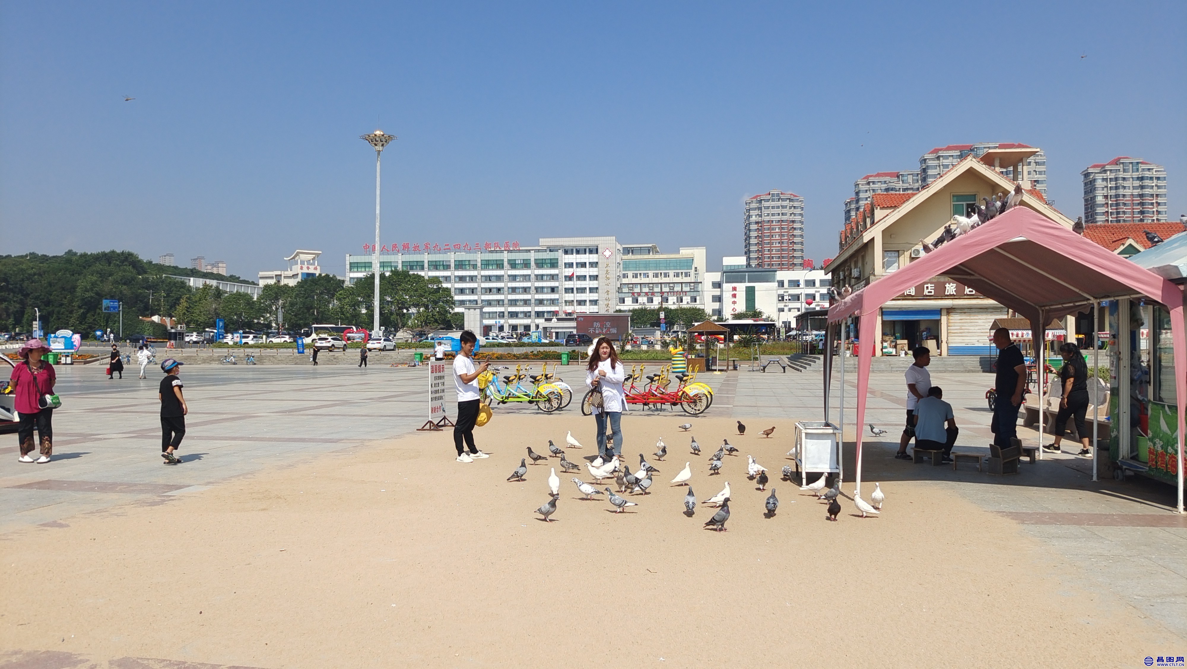 IMG_20210830_104333.jpg