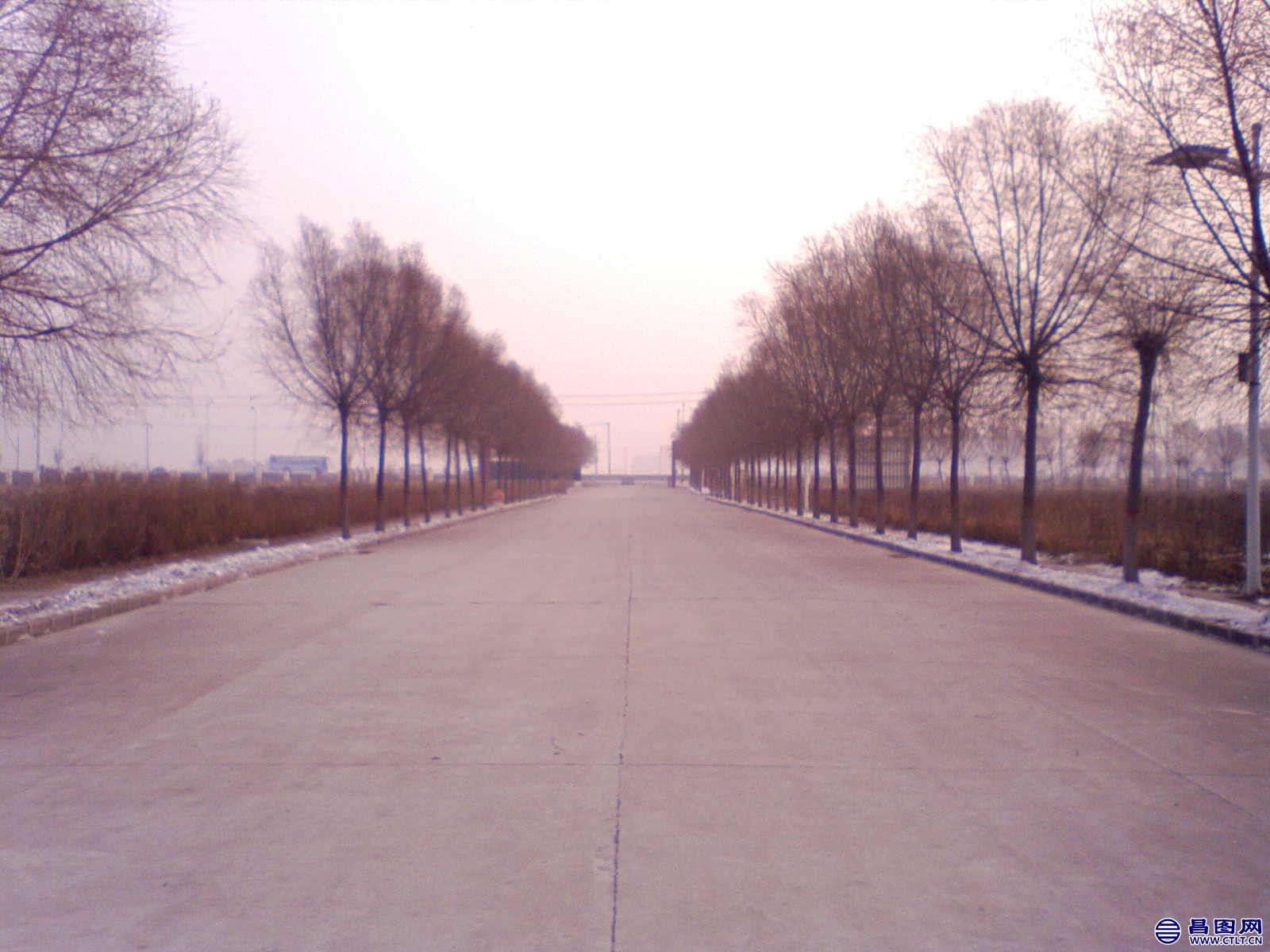 NO000170.JPG .jpg