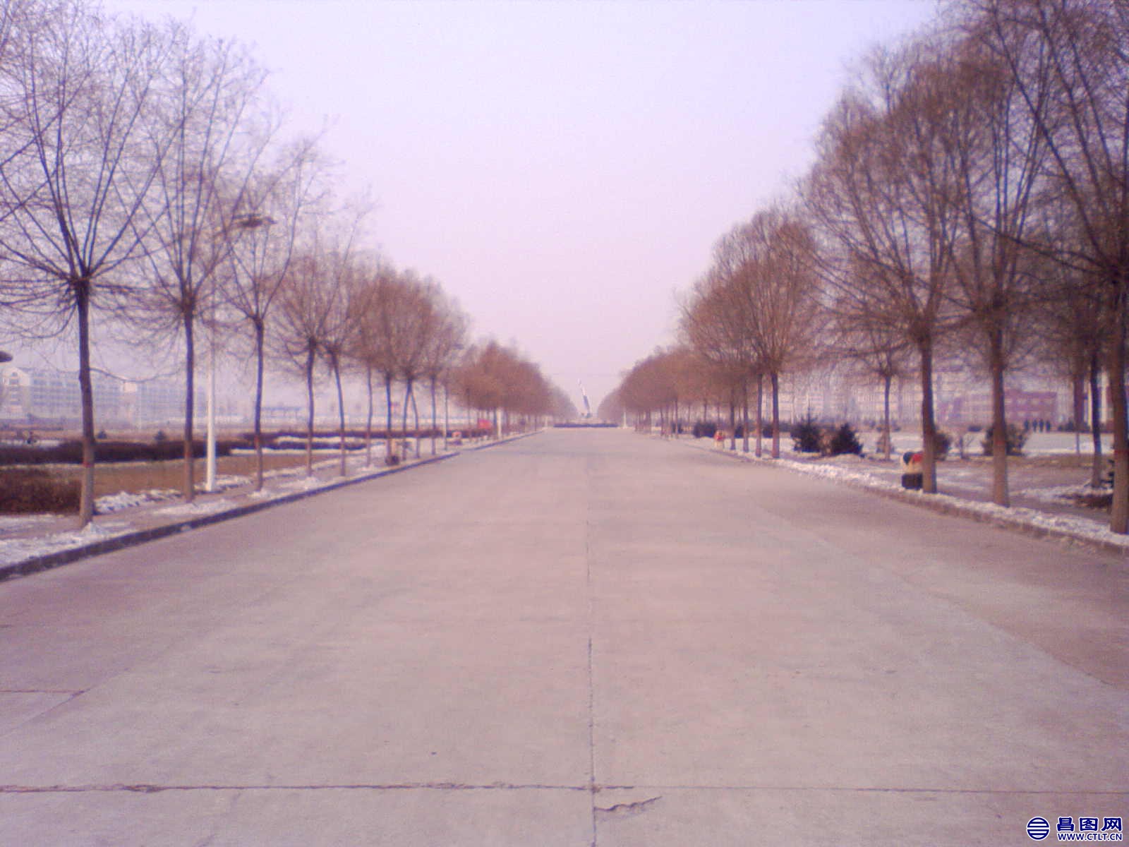 NO000171.JPG .jpg