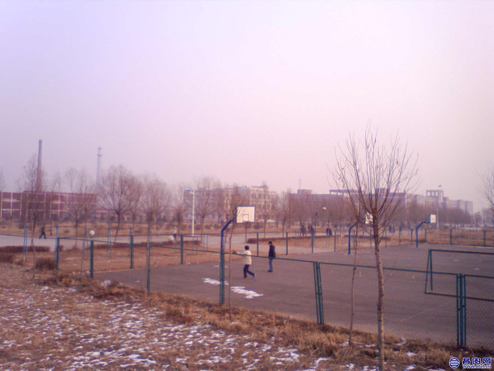 NO000198.JPG .jpg
