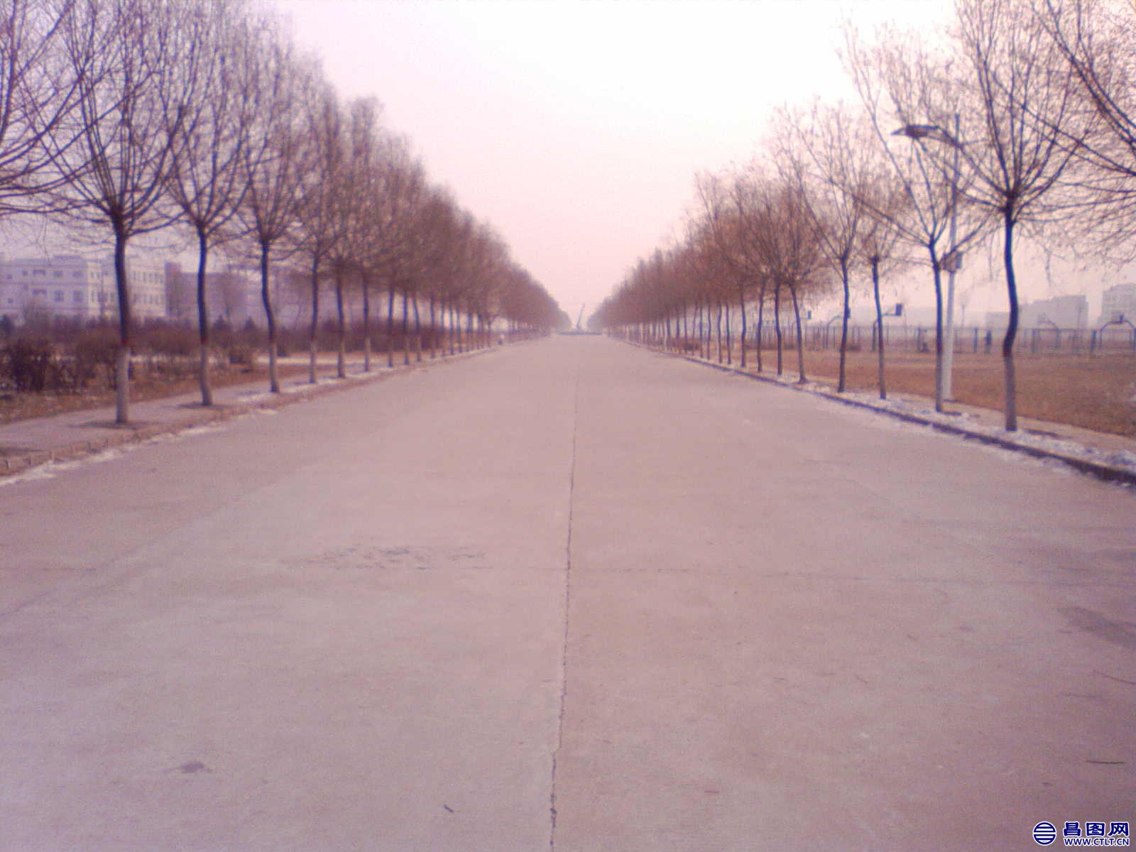 NO000193.JPG .jpg