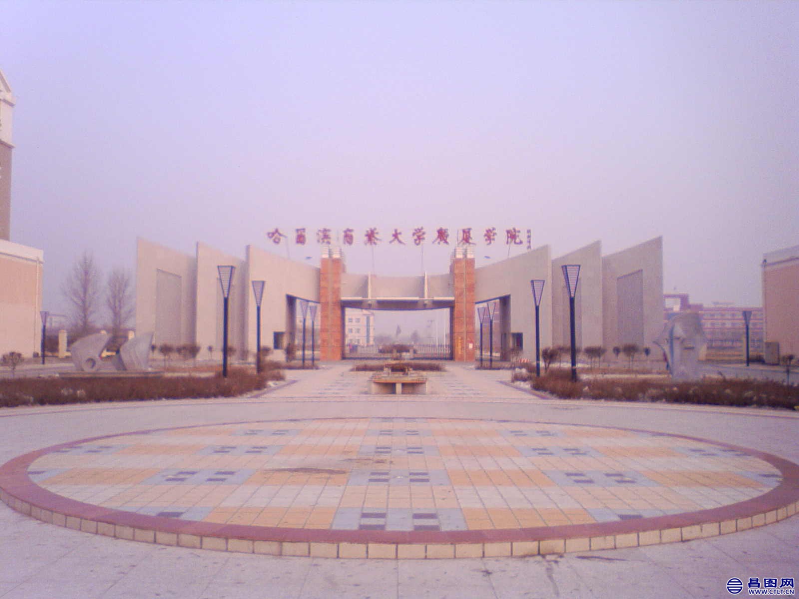 NO000208.JPG .jpg