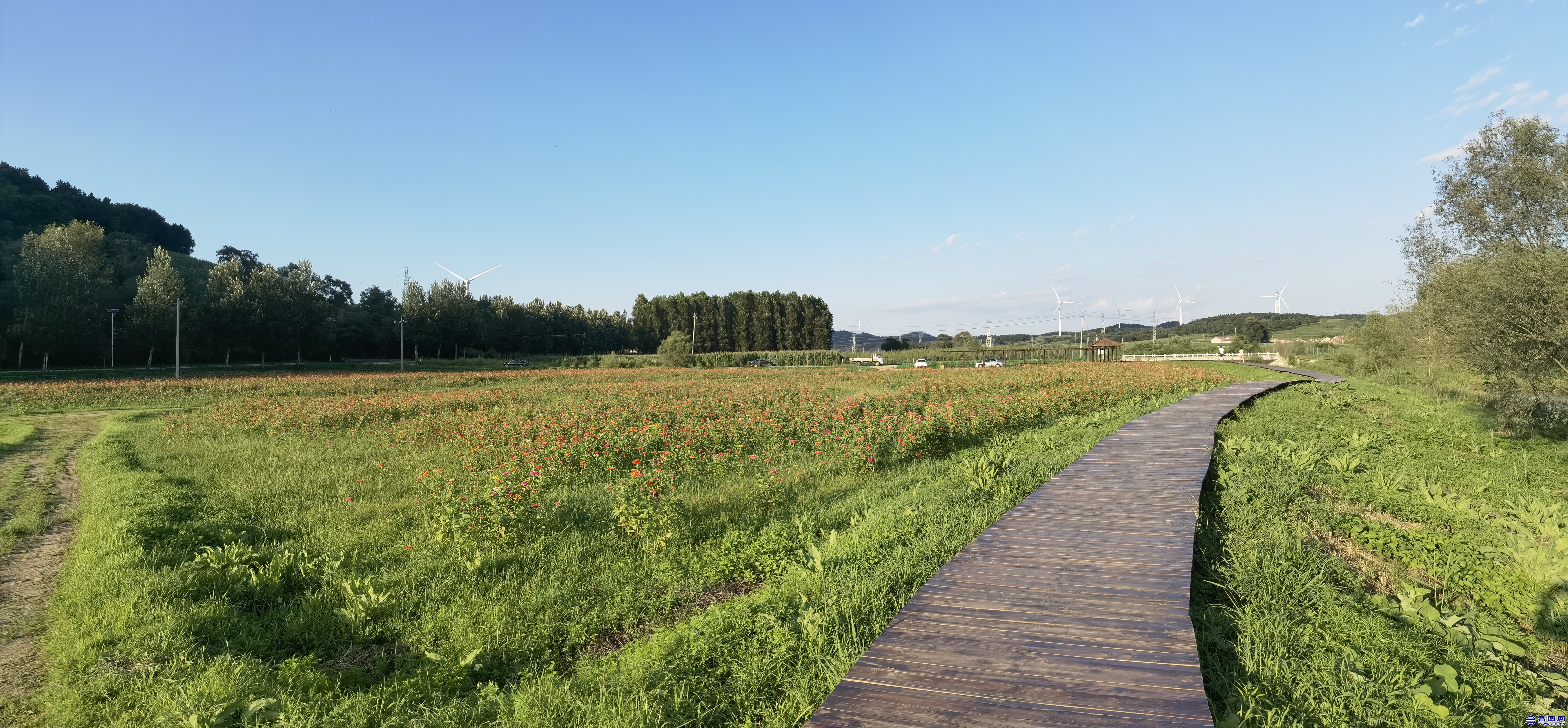 IMG_20220809_174150.jpg