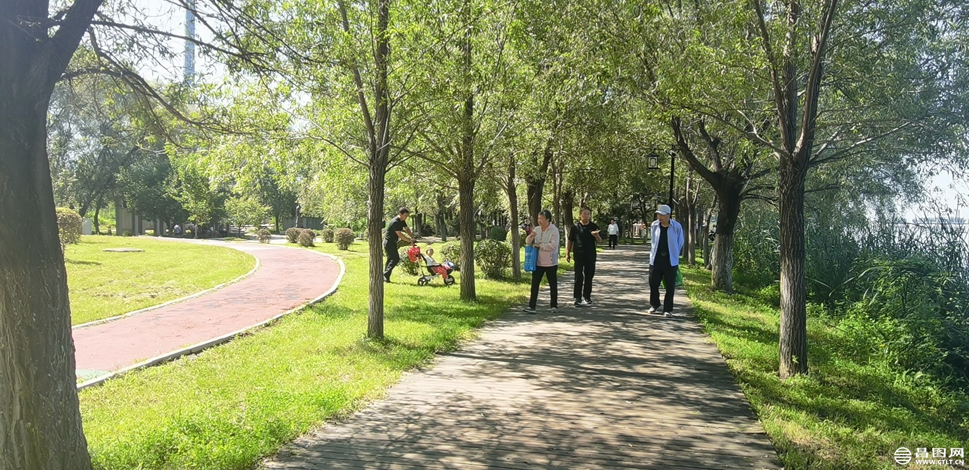 wx_camera_1660700643626.jpg