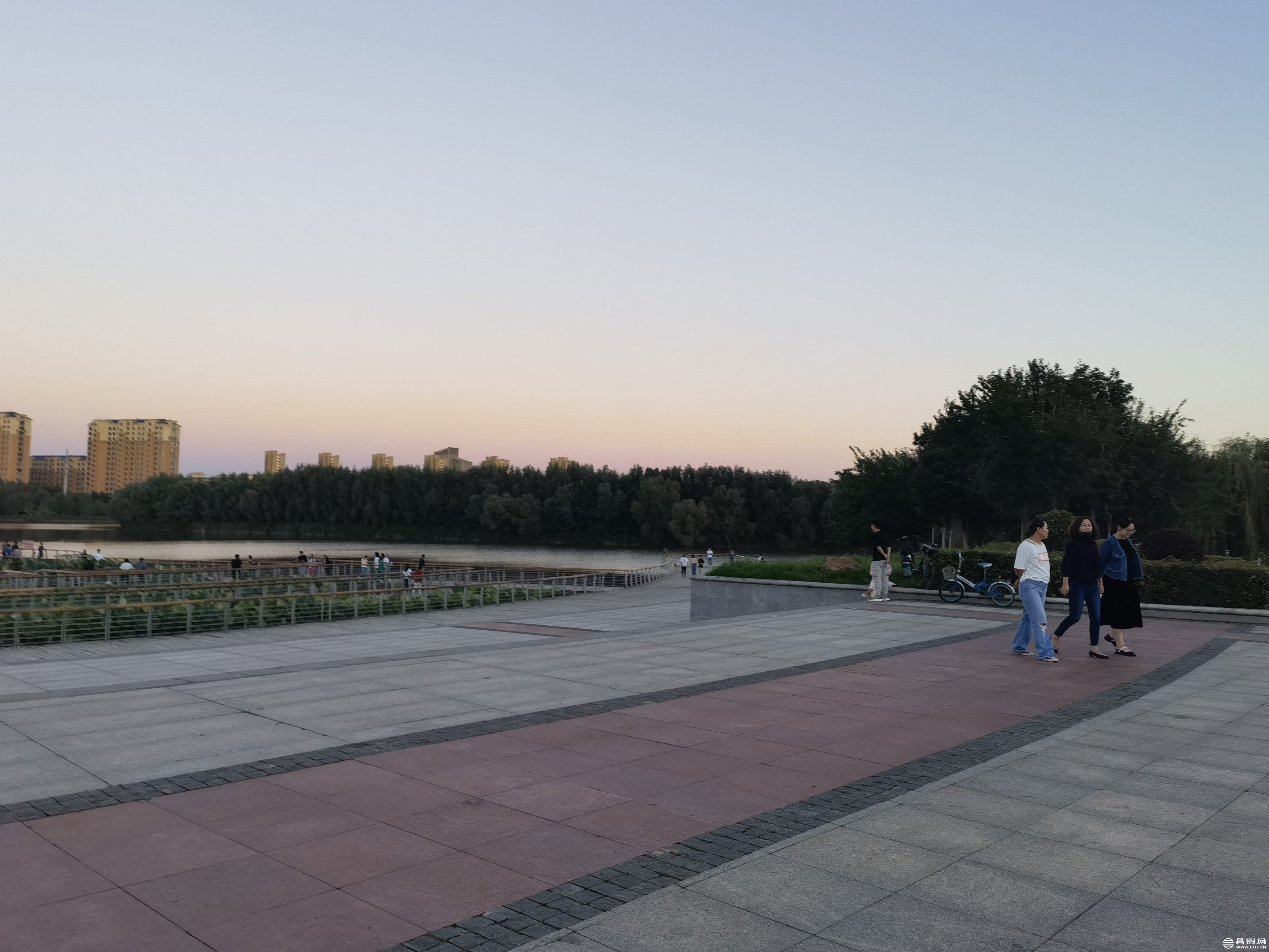 IMG_20220819_184247.jpg
