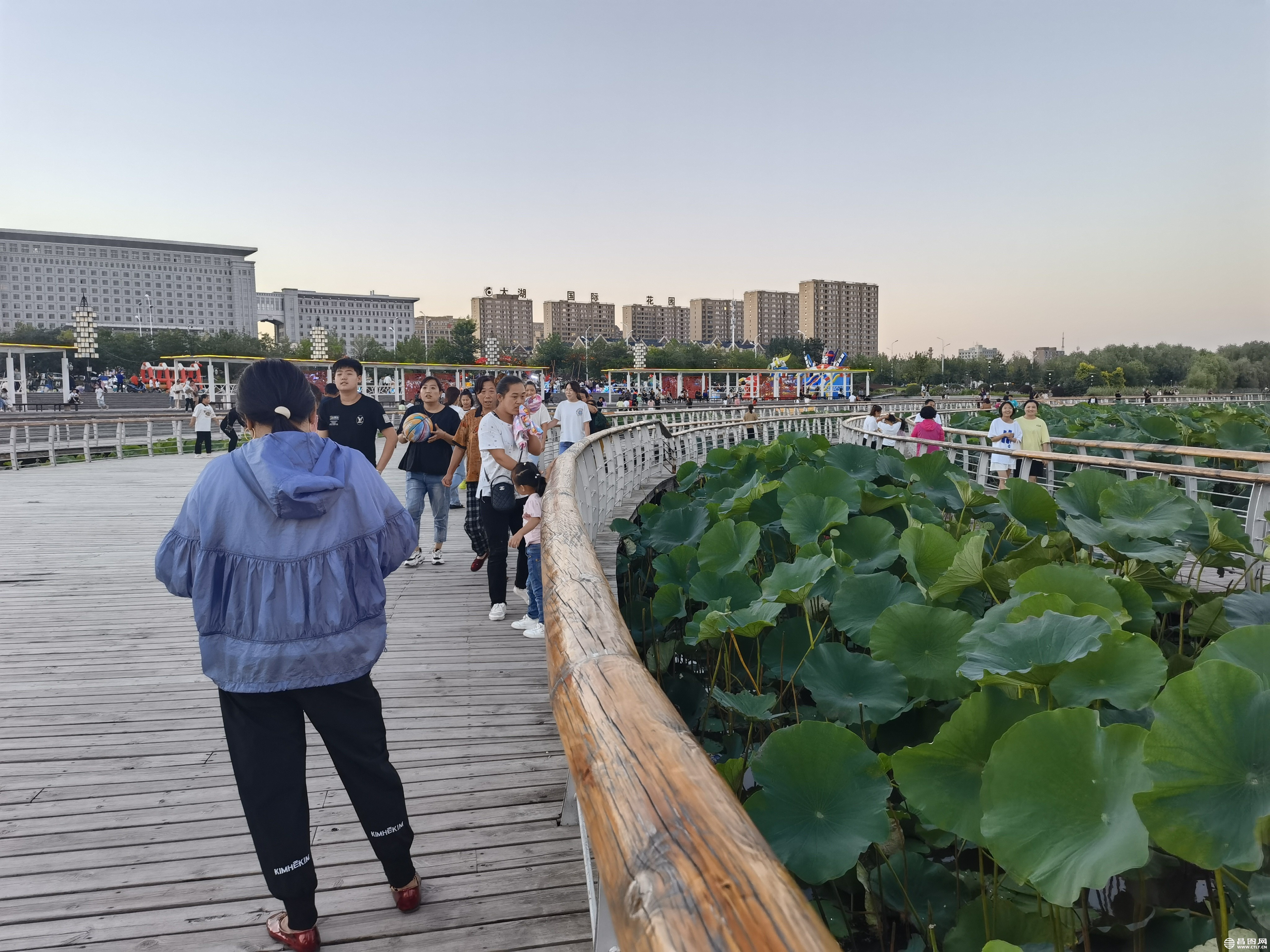 IMG_20220819_184419.jpg