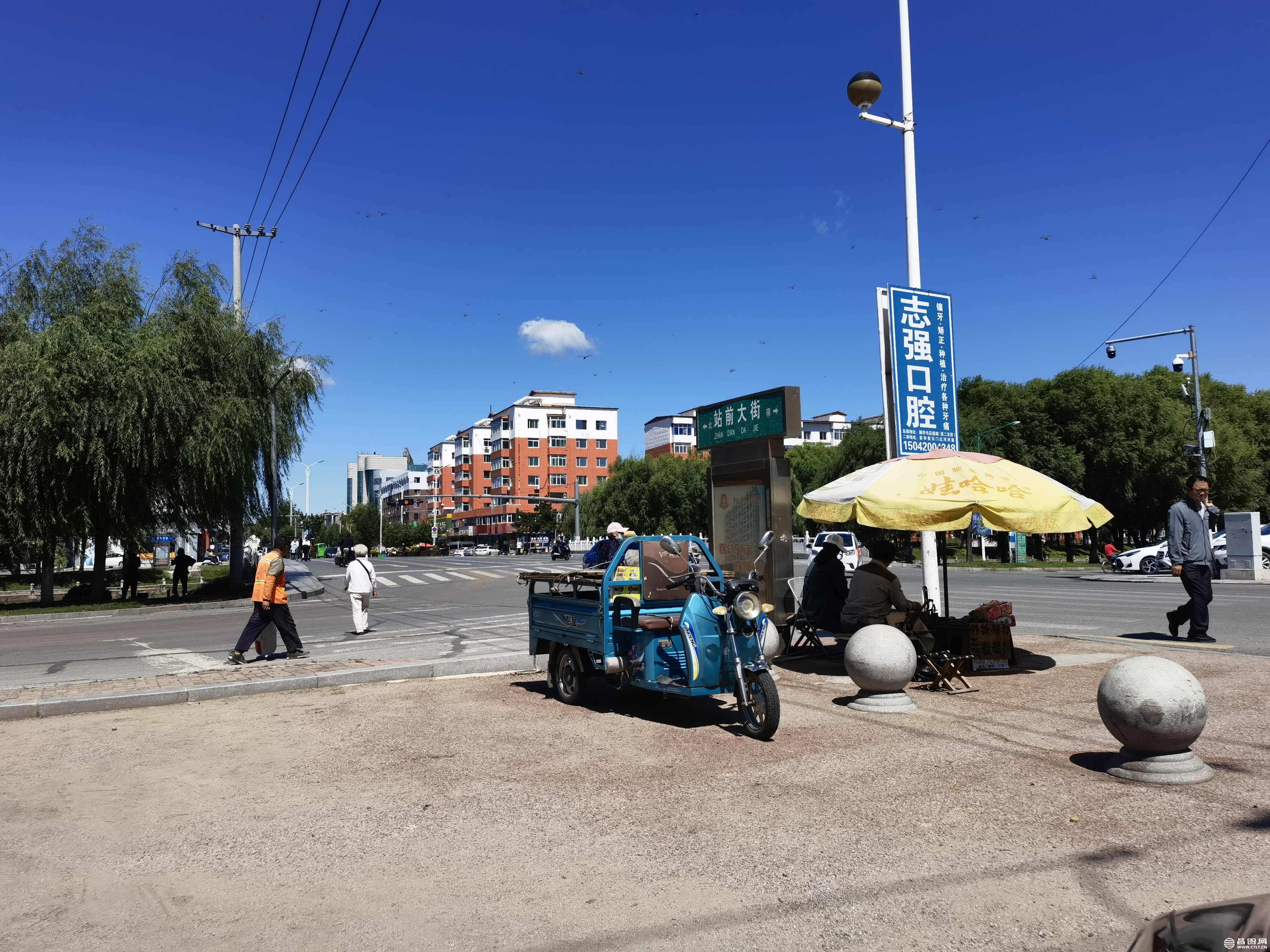 IMG_20220827_113119.jpg