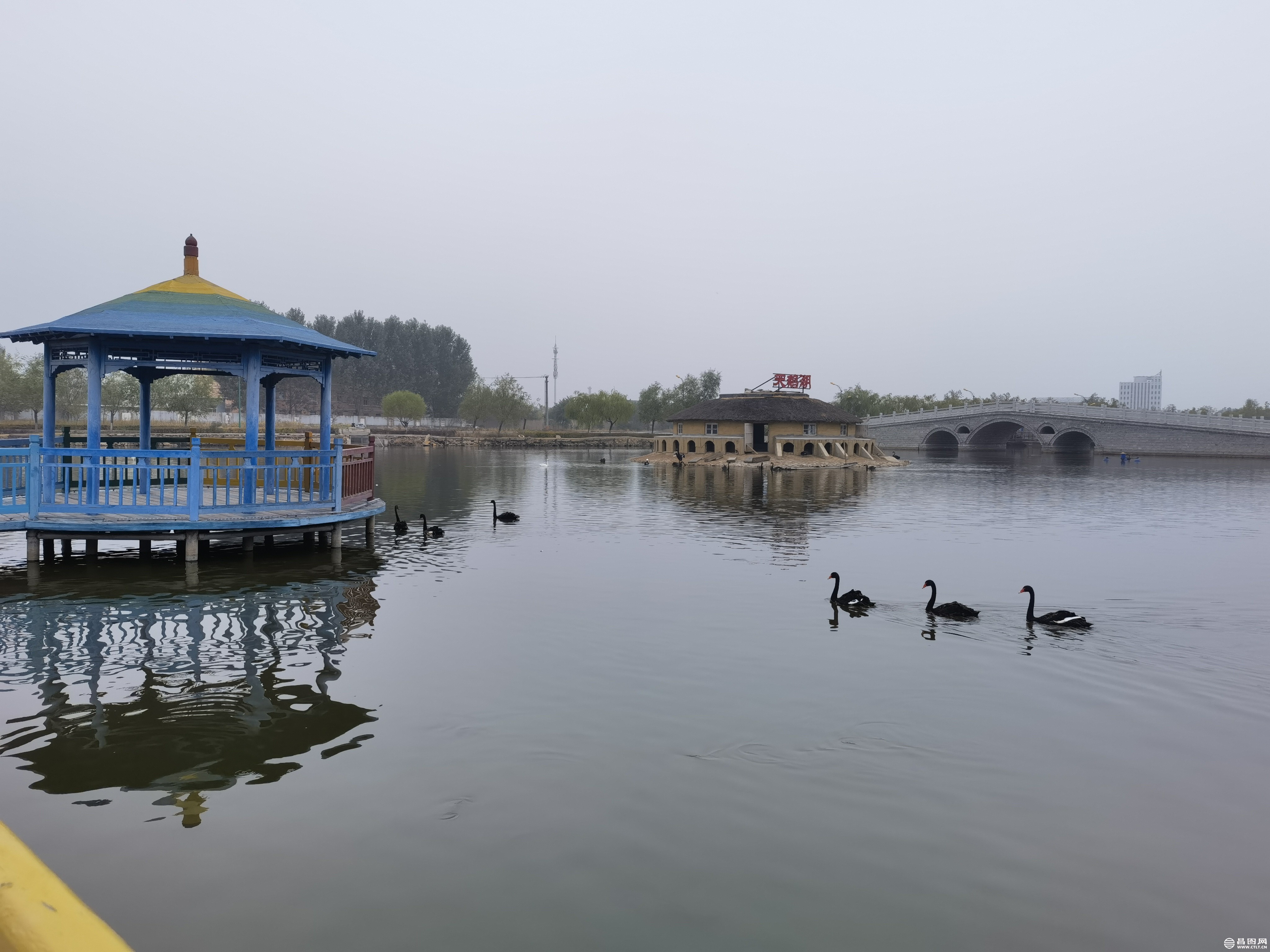 IMG_20221001_163504.jpg