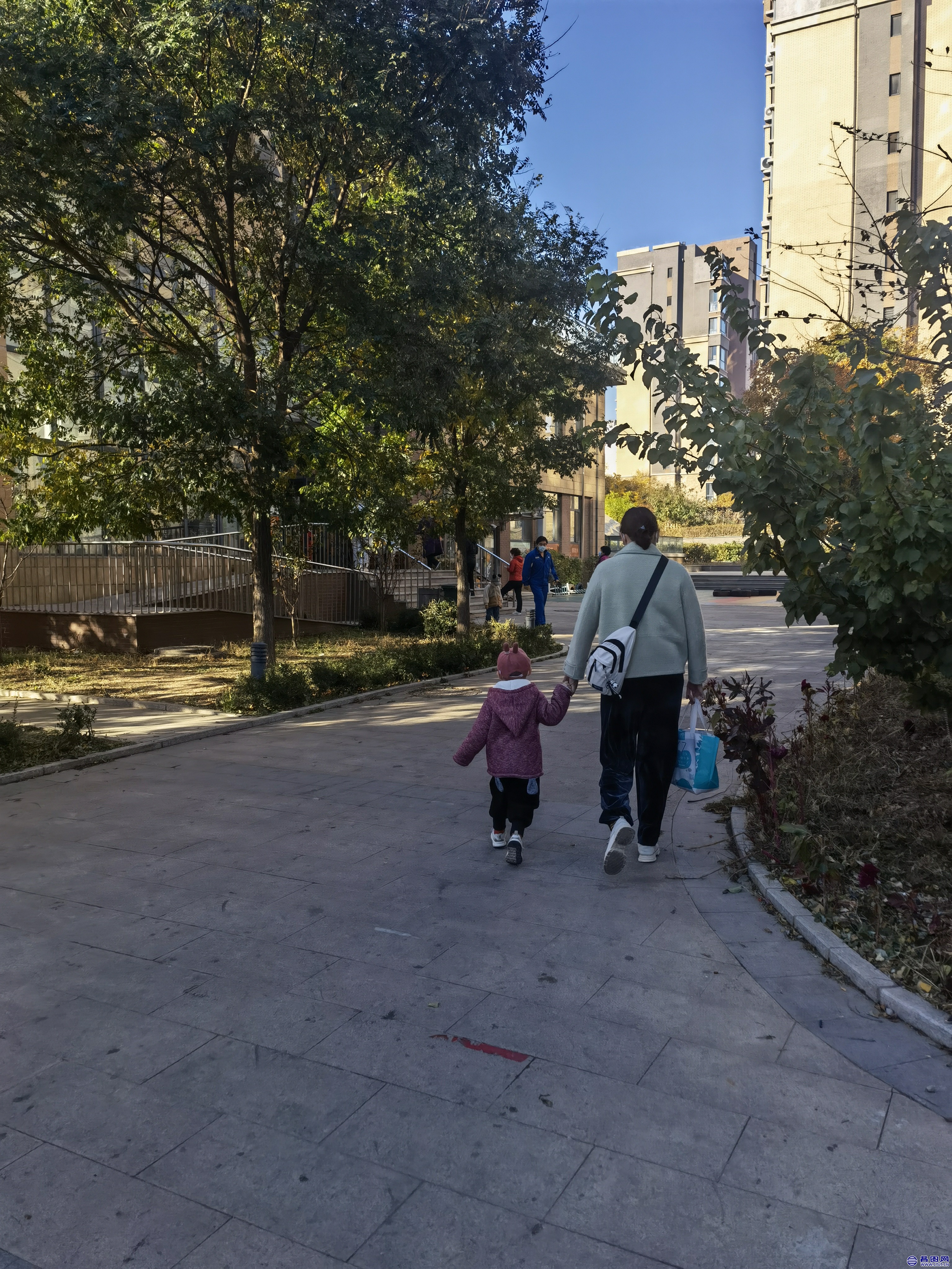IMG_20221018_083152.jpg