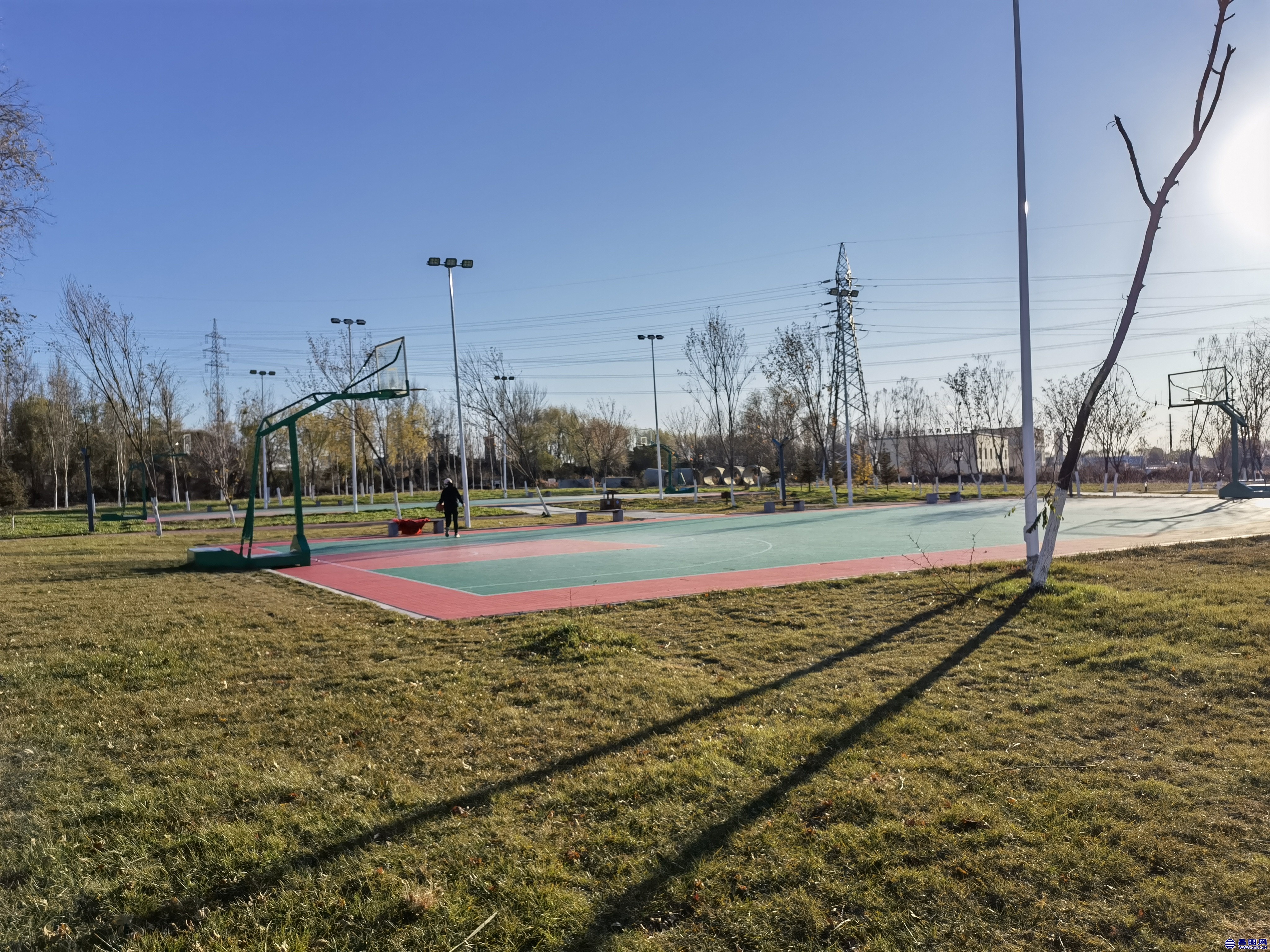 IMG_20221101_150911.jpg