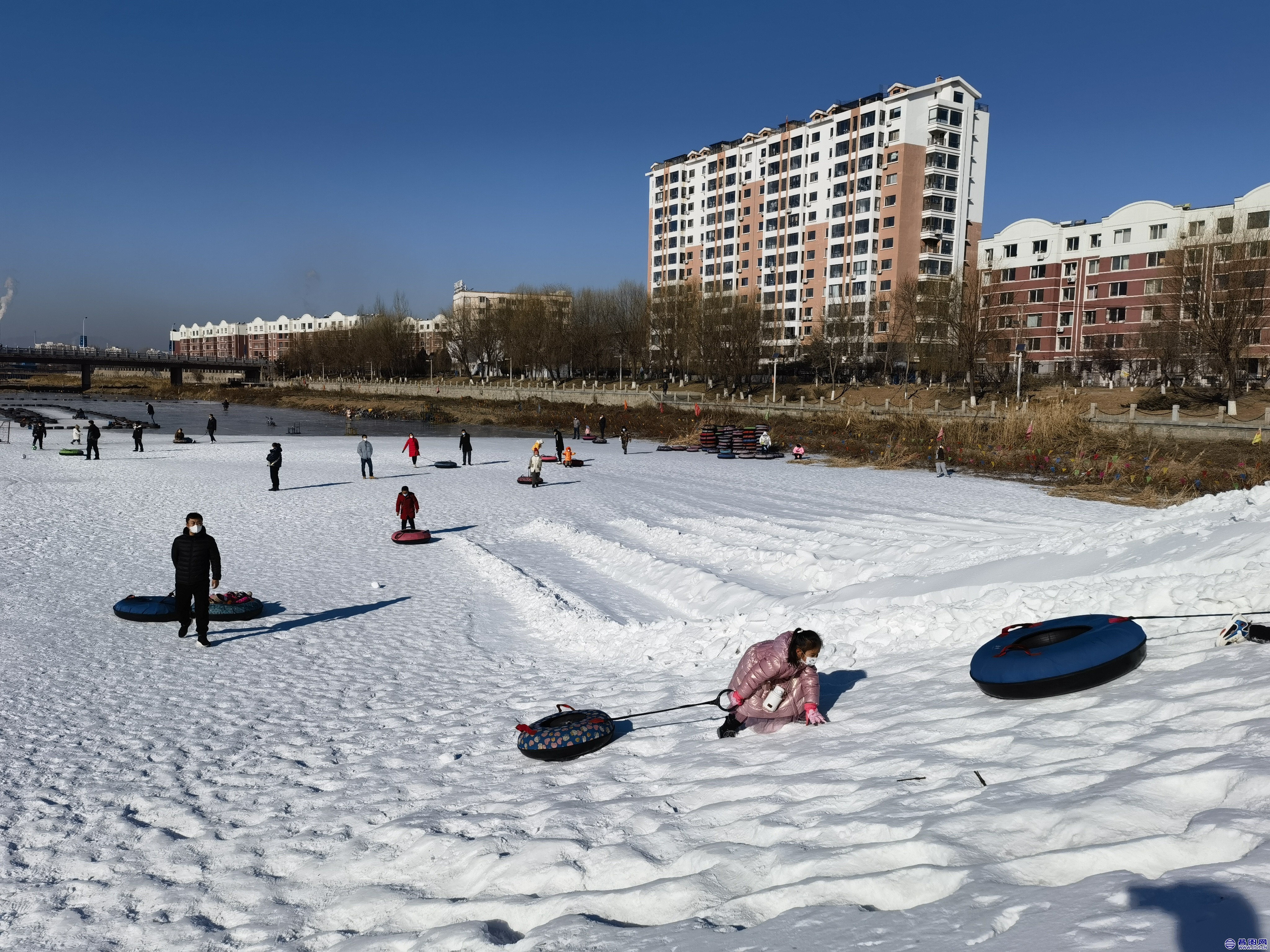 IMG_20230102_105055.jpg