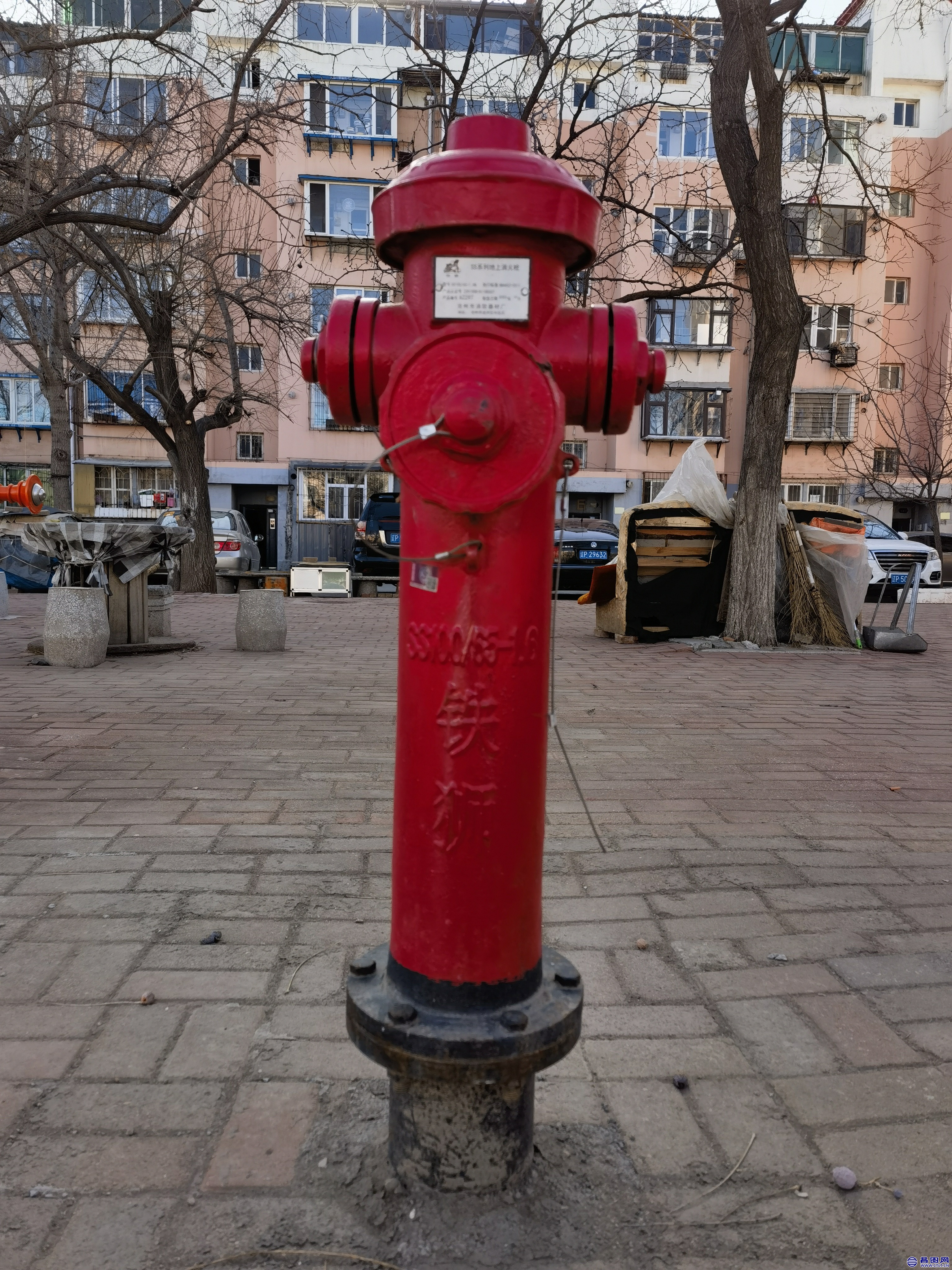 IMG_20230118_112130.jpg