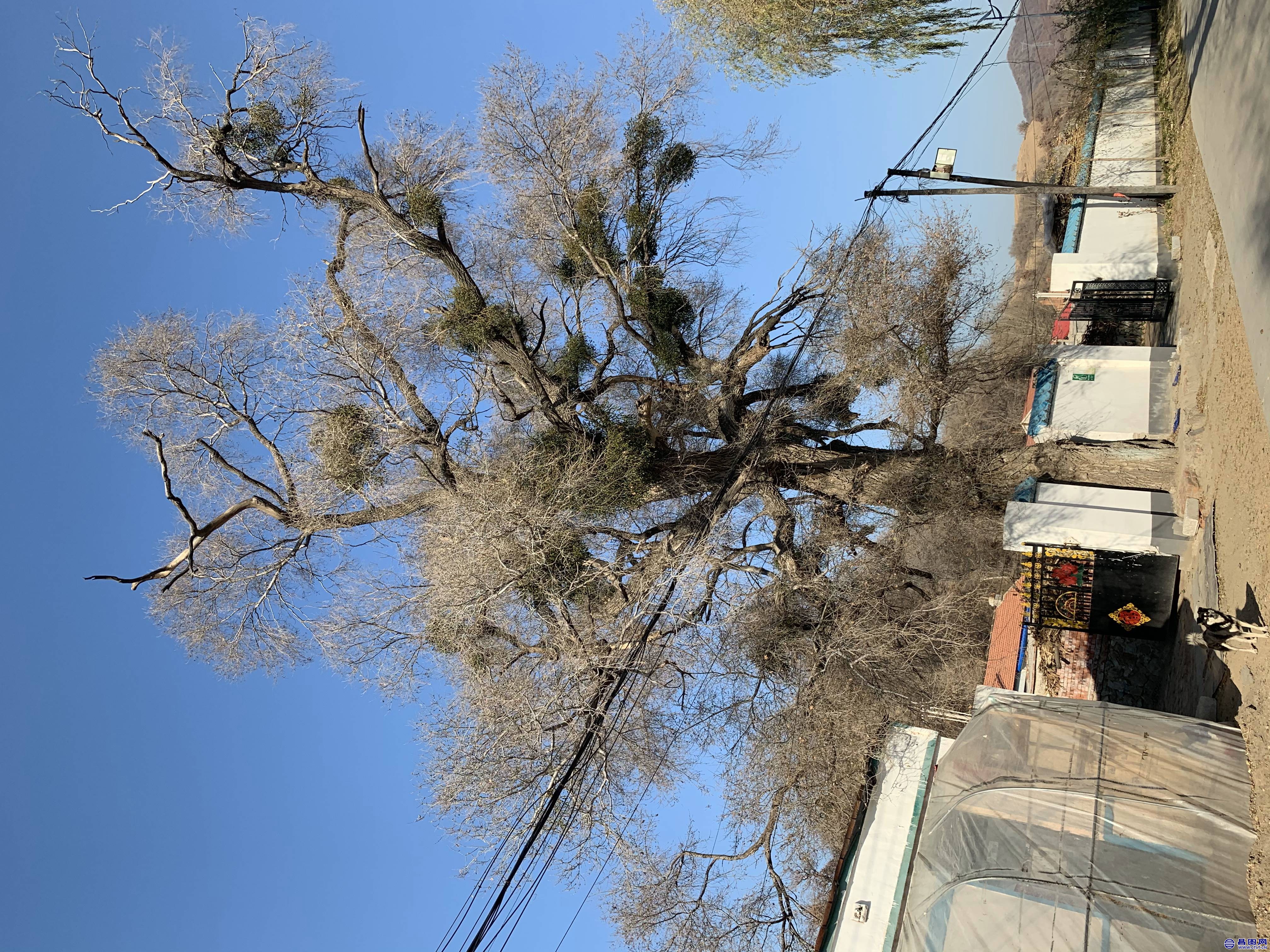 20191108_IMG_8275.JPG