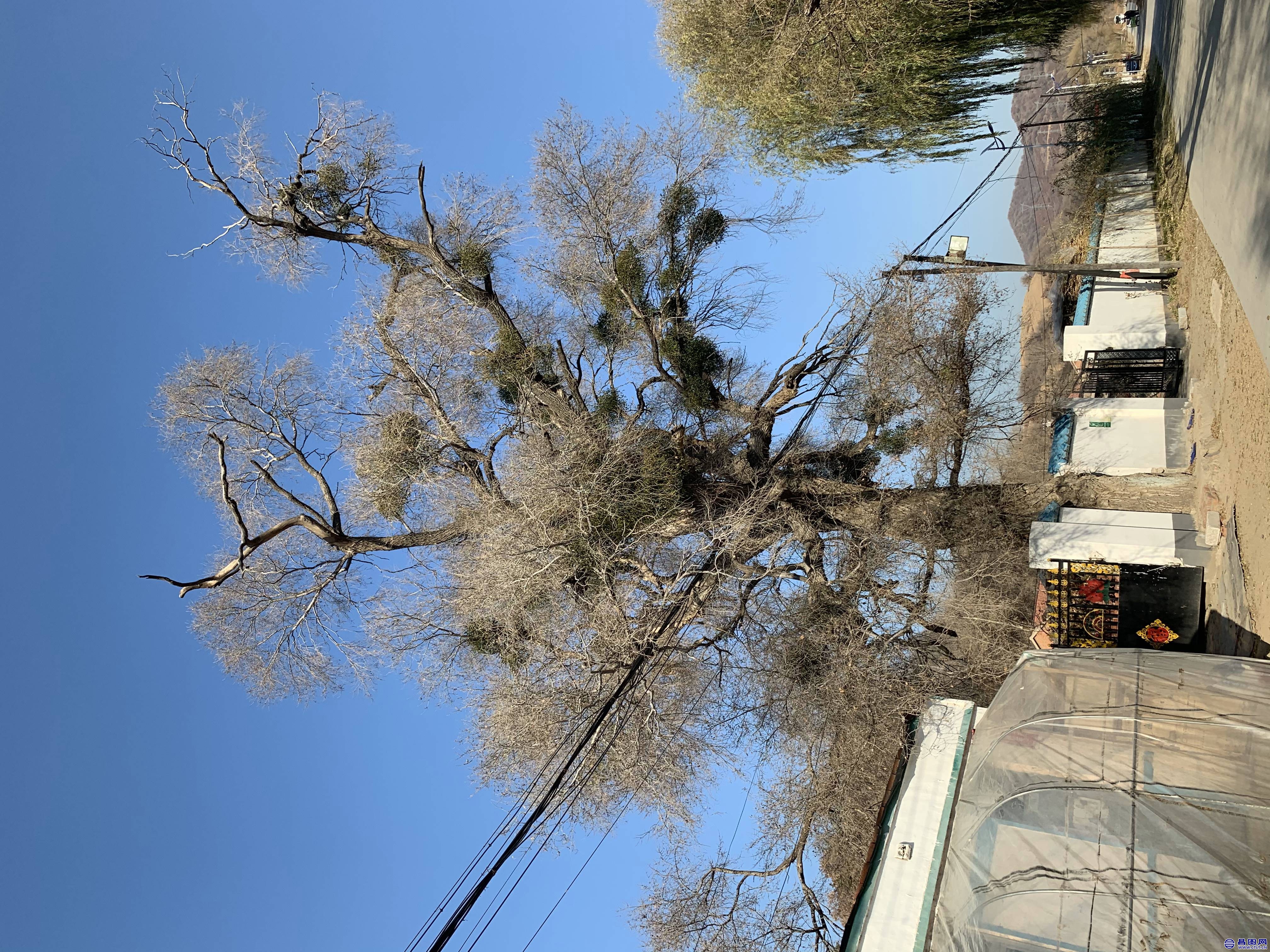 20191108_IMG_8276.JPG