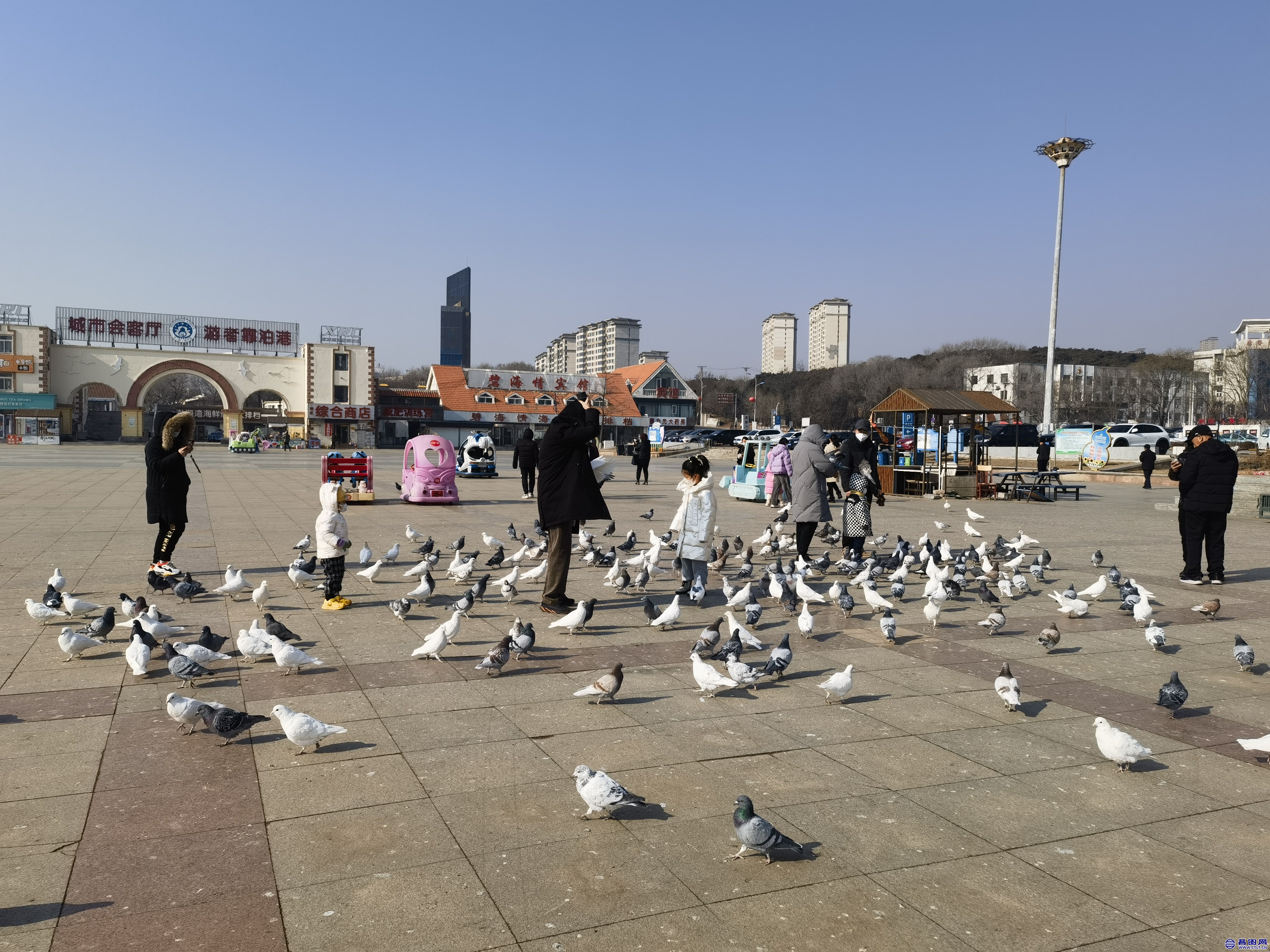 IMG_20230216_104355.jpg
