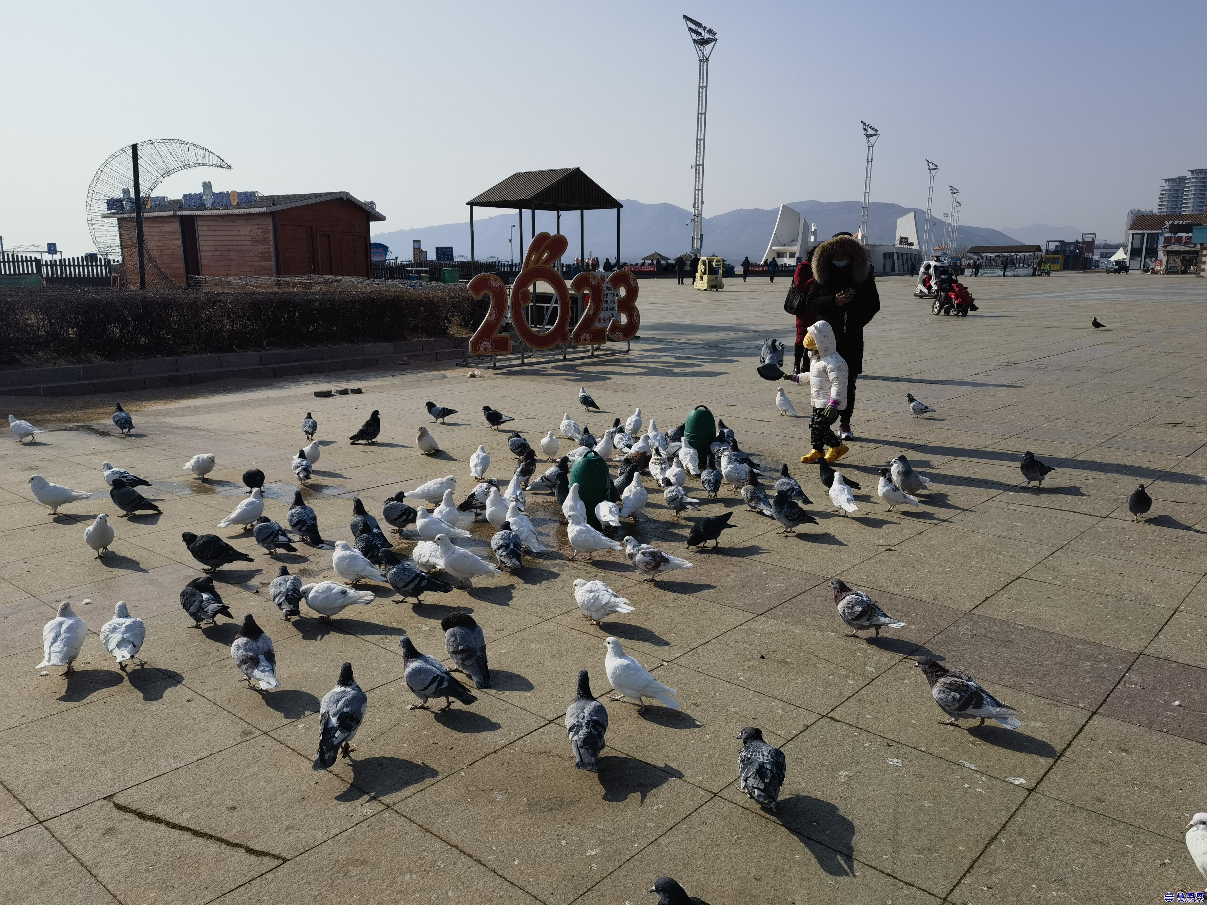 IMG_20230216_104425.jpg