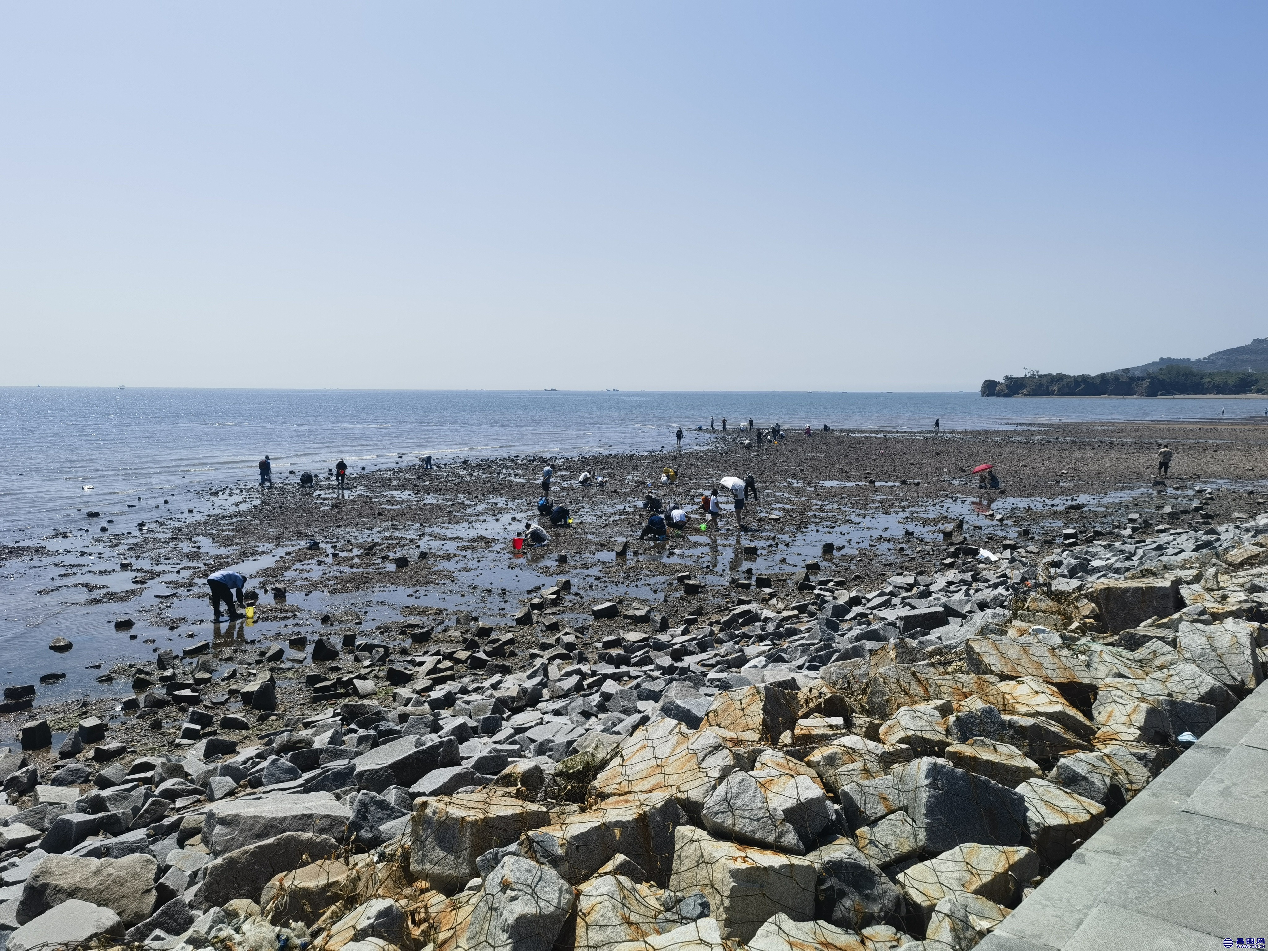 IMG_20230621_100134.jpg