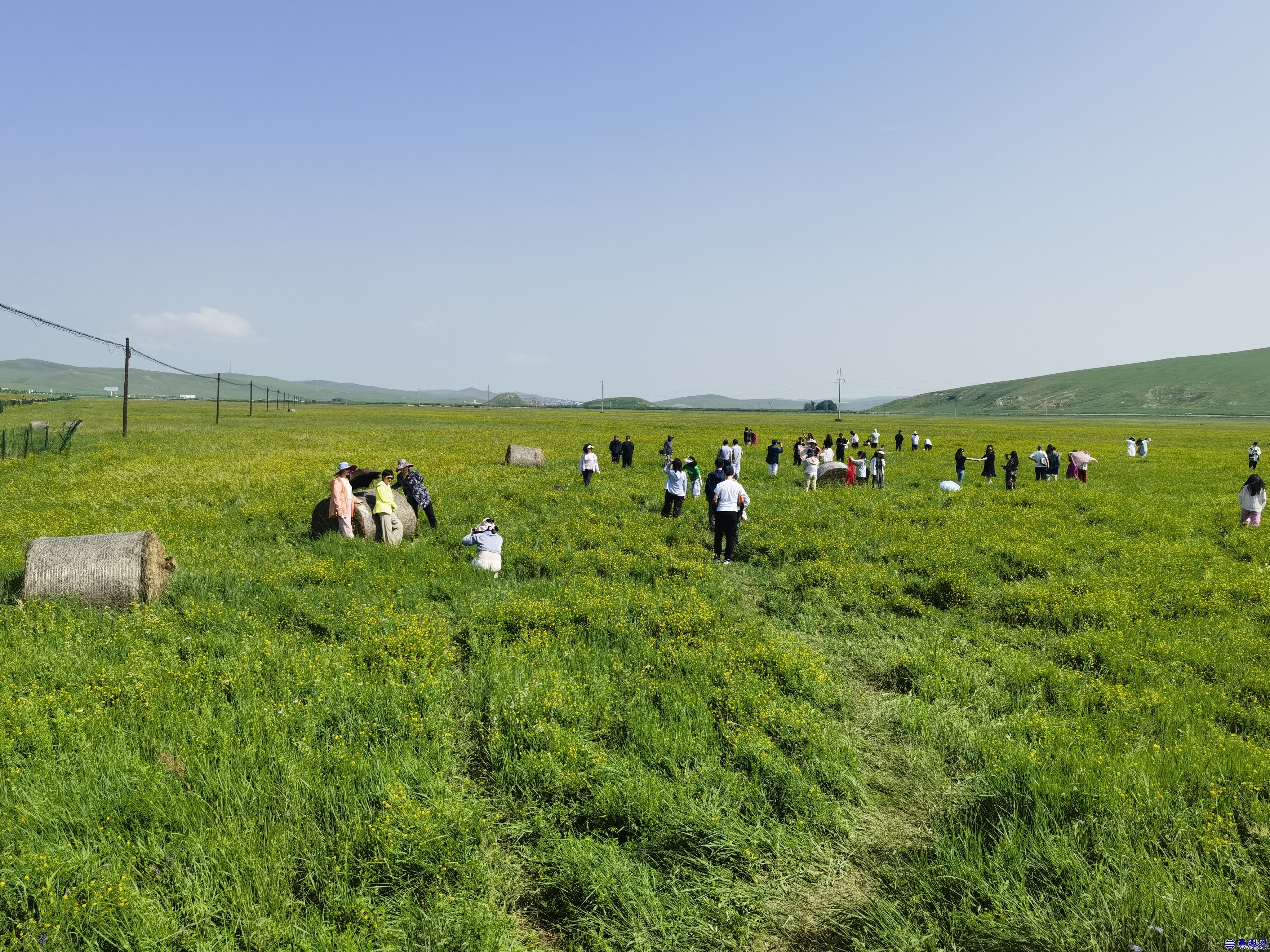 IMG_20230715_094542 - 副本.jpg