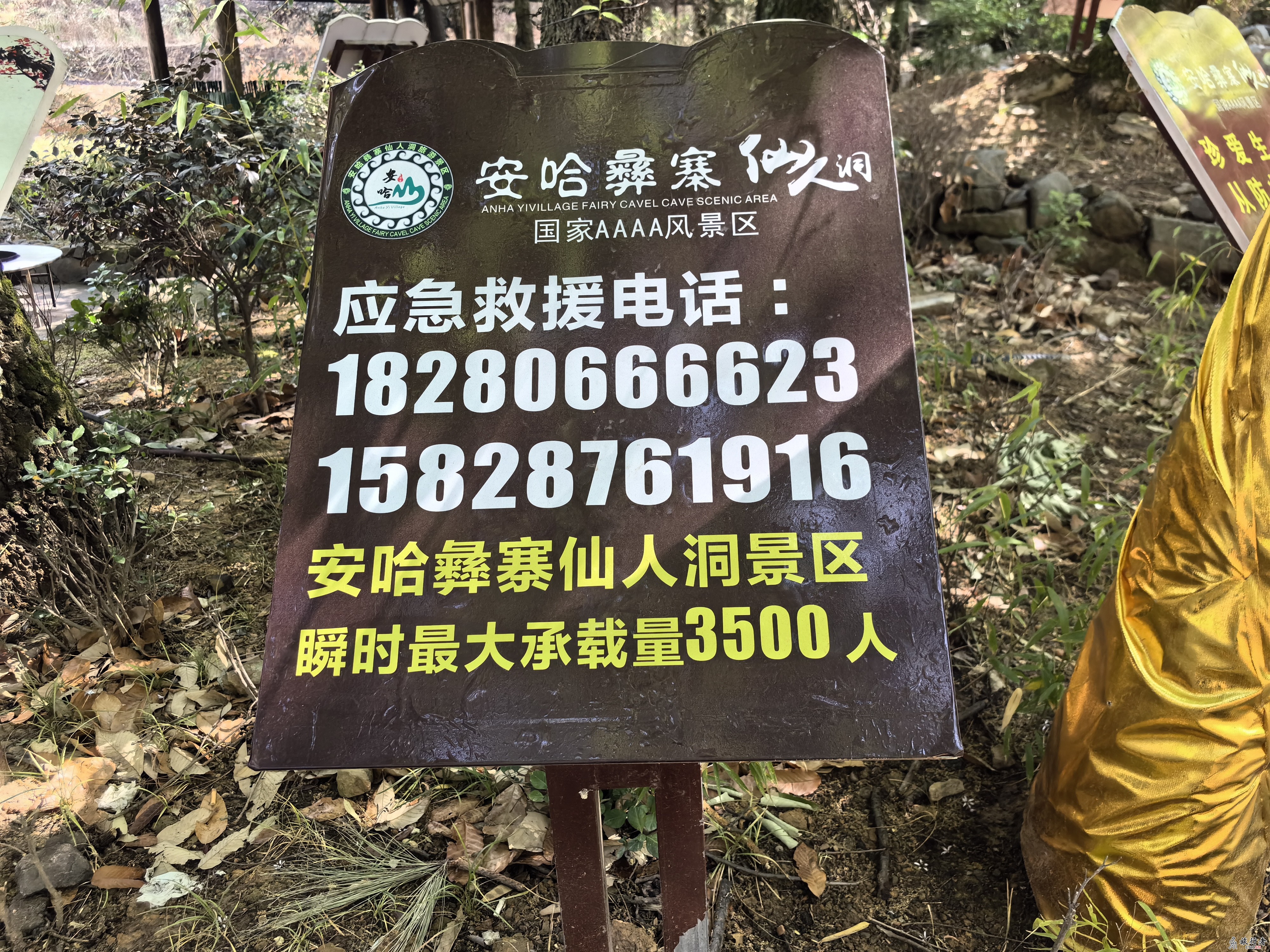 IMG_20240331_112323.jpg